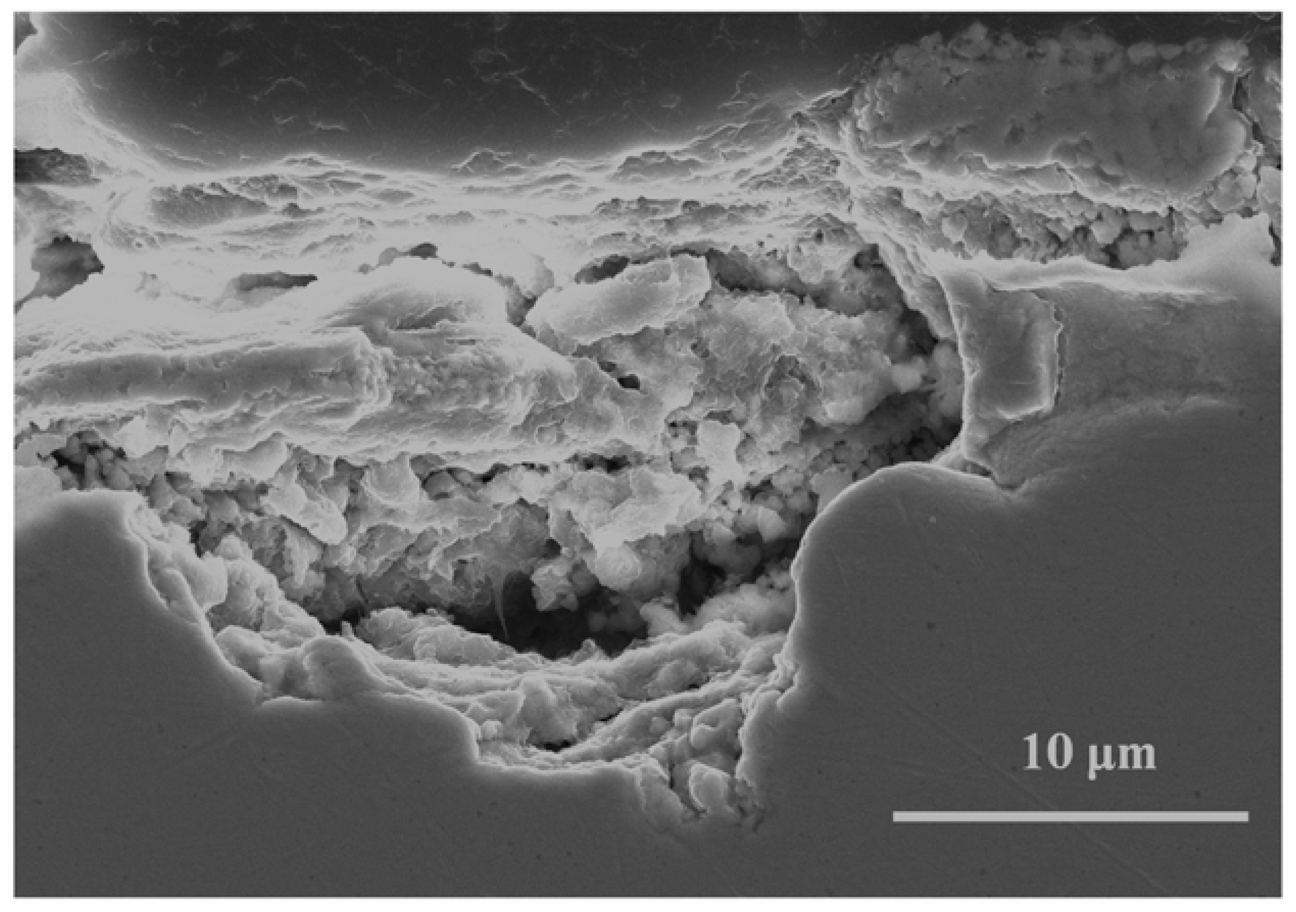 Metals 08 00866 g009