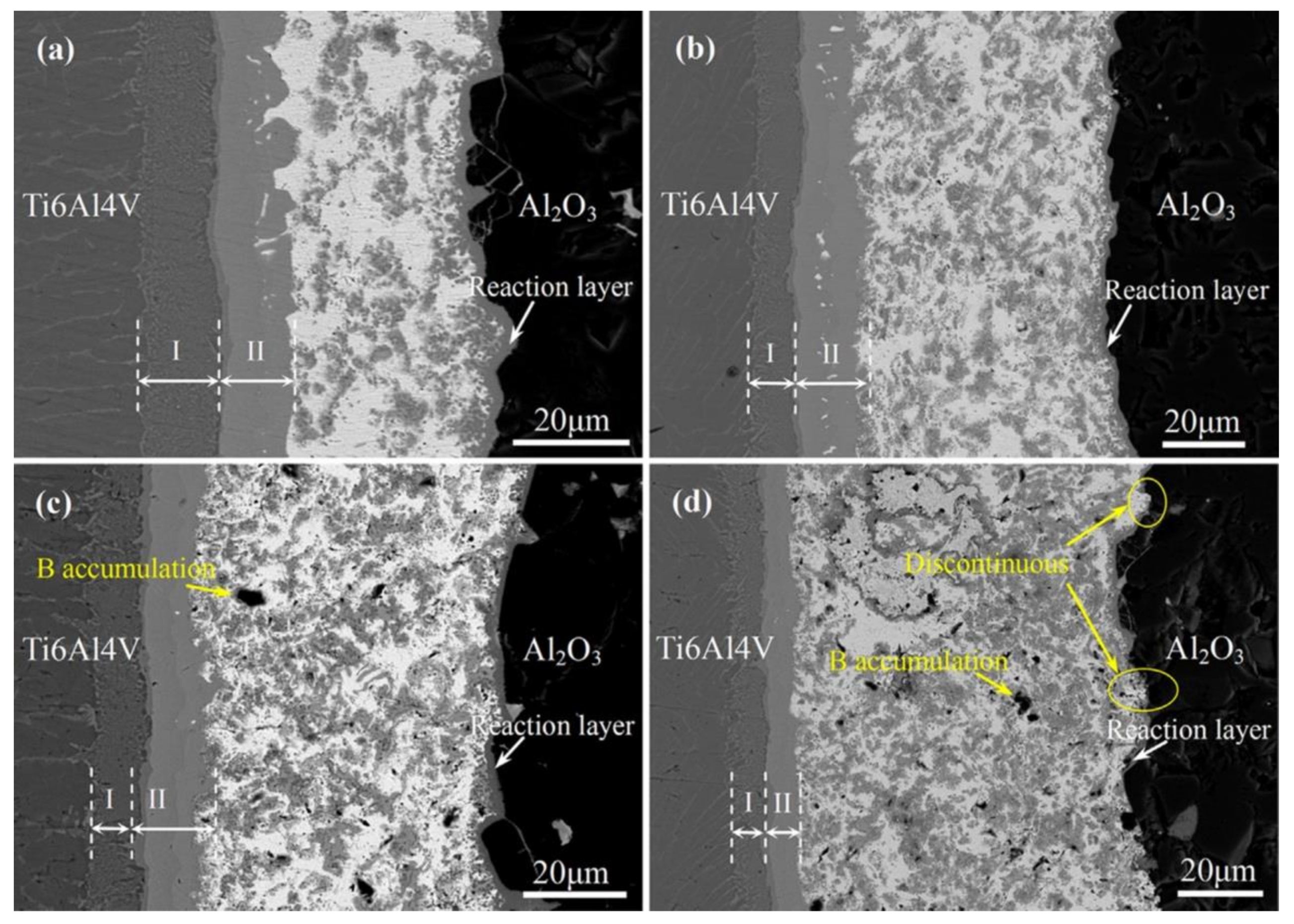 Metals 08 00876 g005