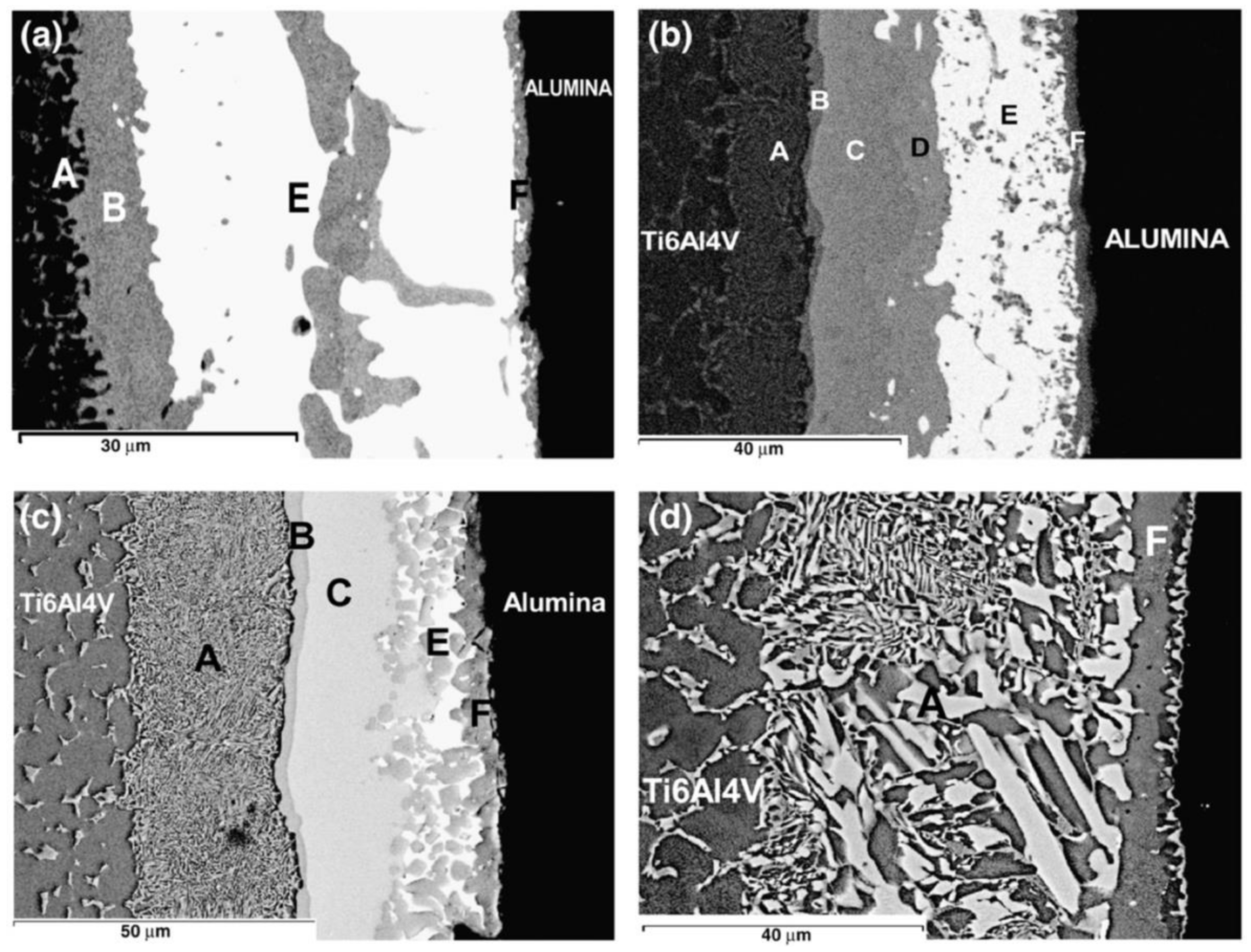 Metals 08 00876 g021