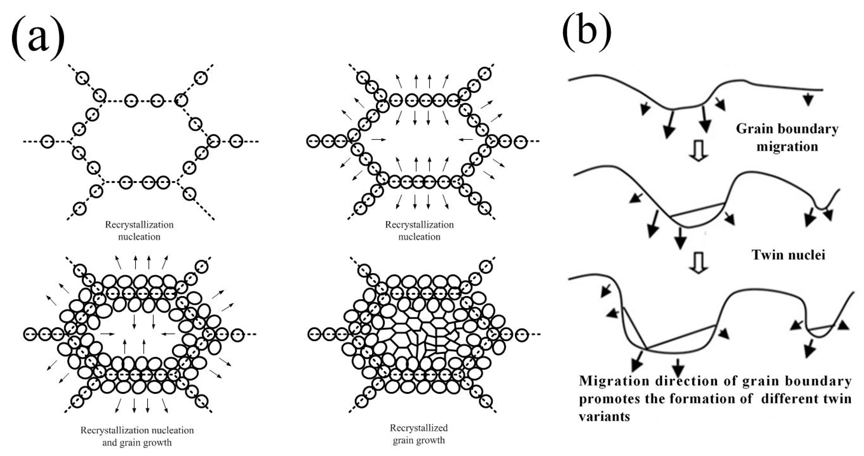 Metals 08 00882 g007