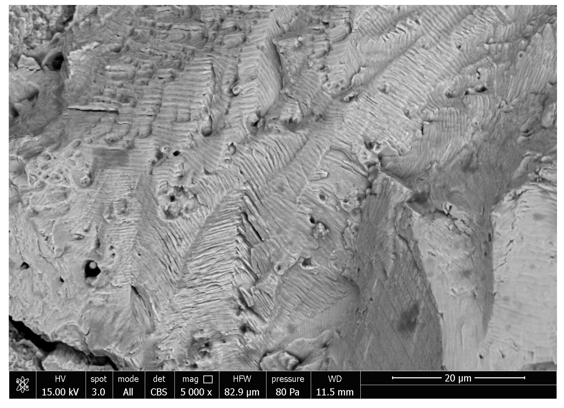 Metals 08 00888 g012