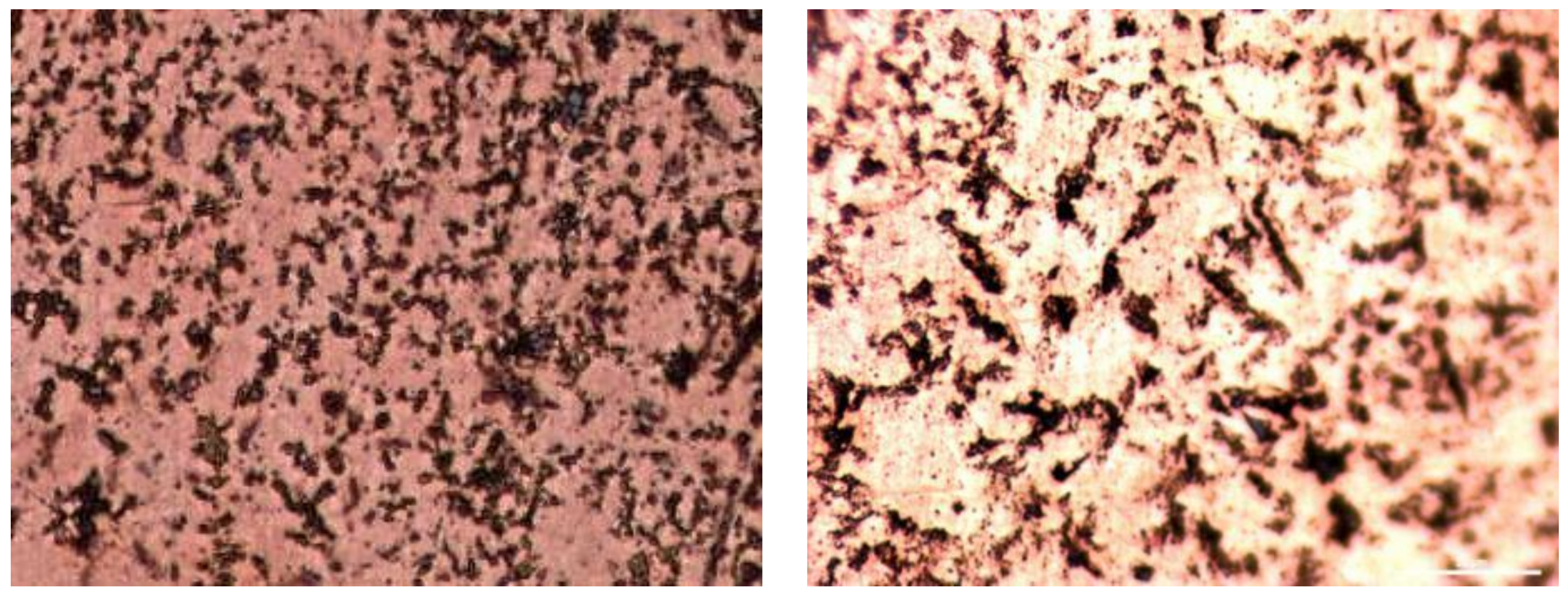 Metals 08 00943 g001