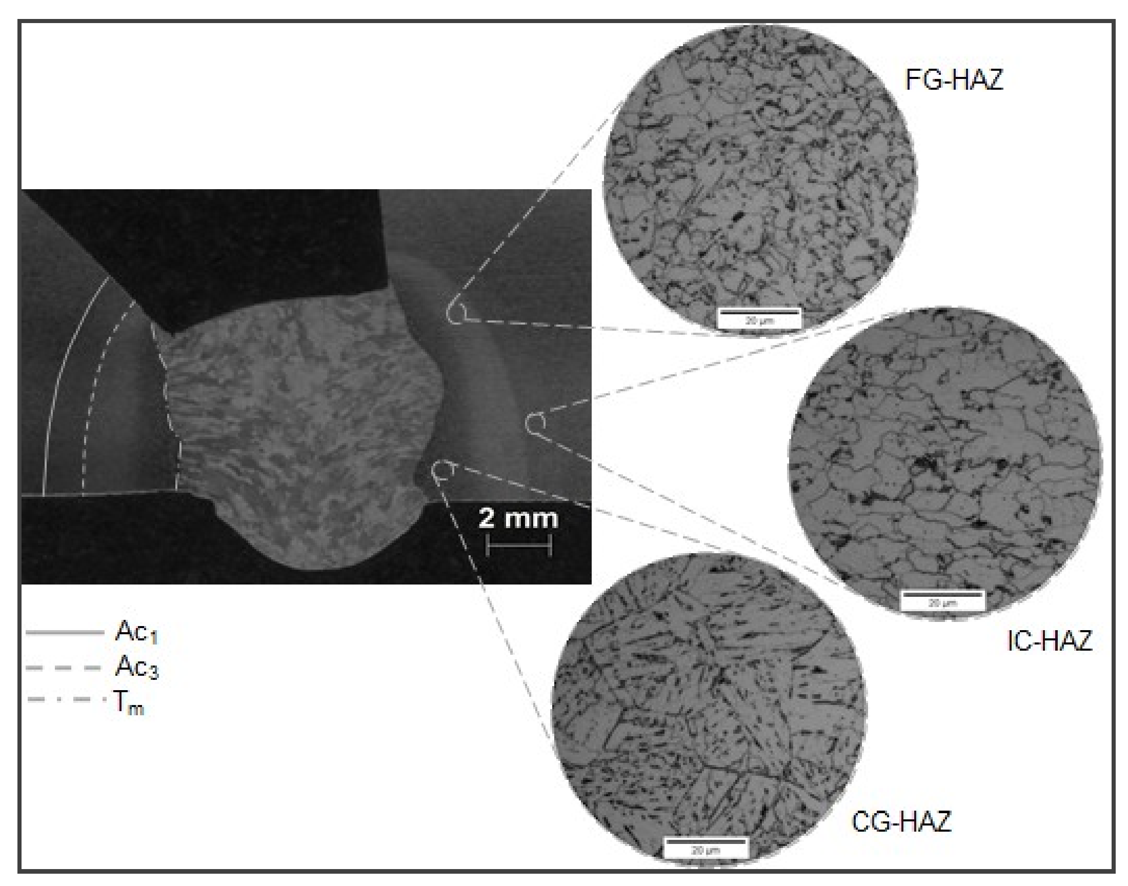 Metals 08 00951 g001