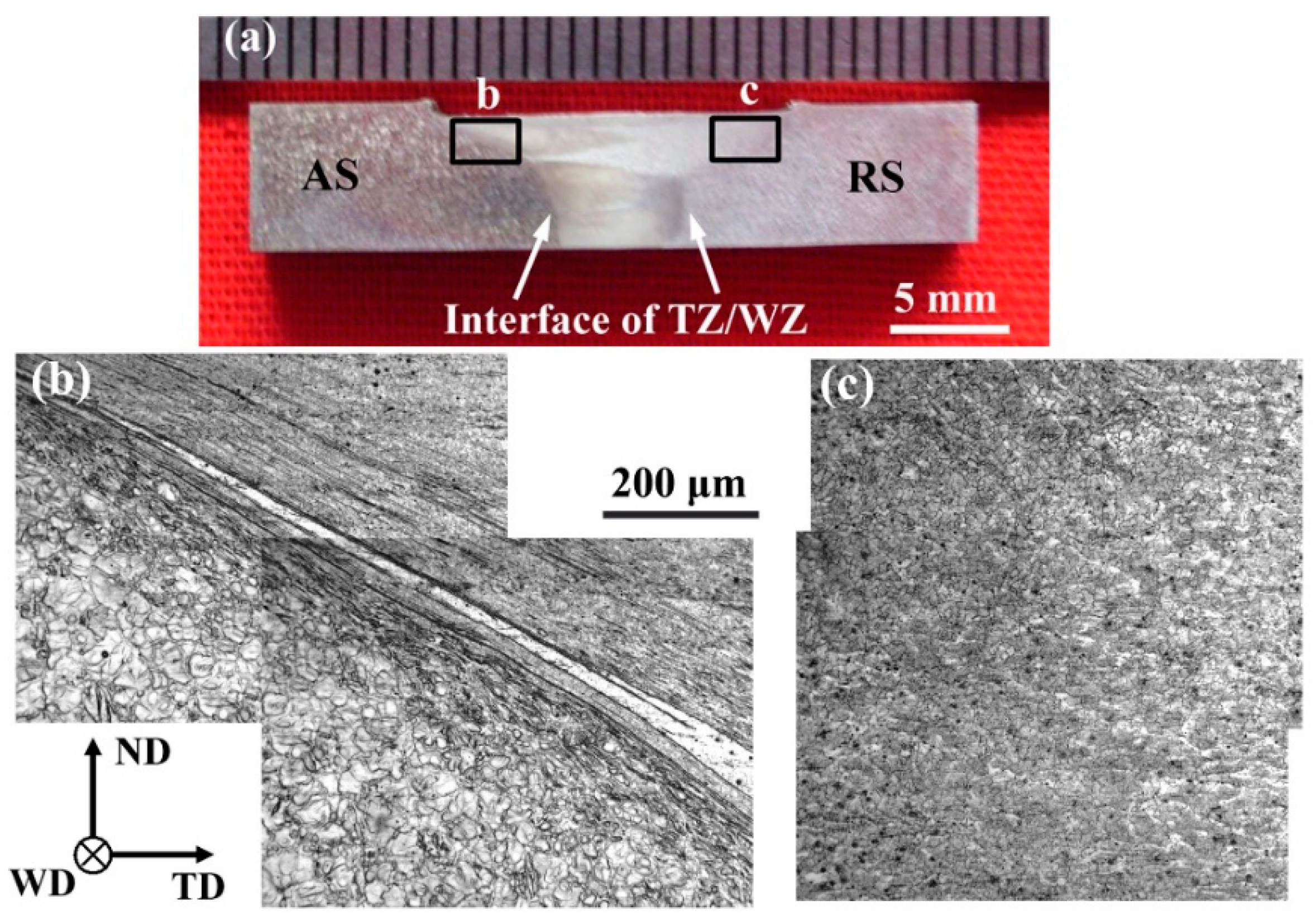 Metals 08 00970 g002
