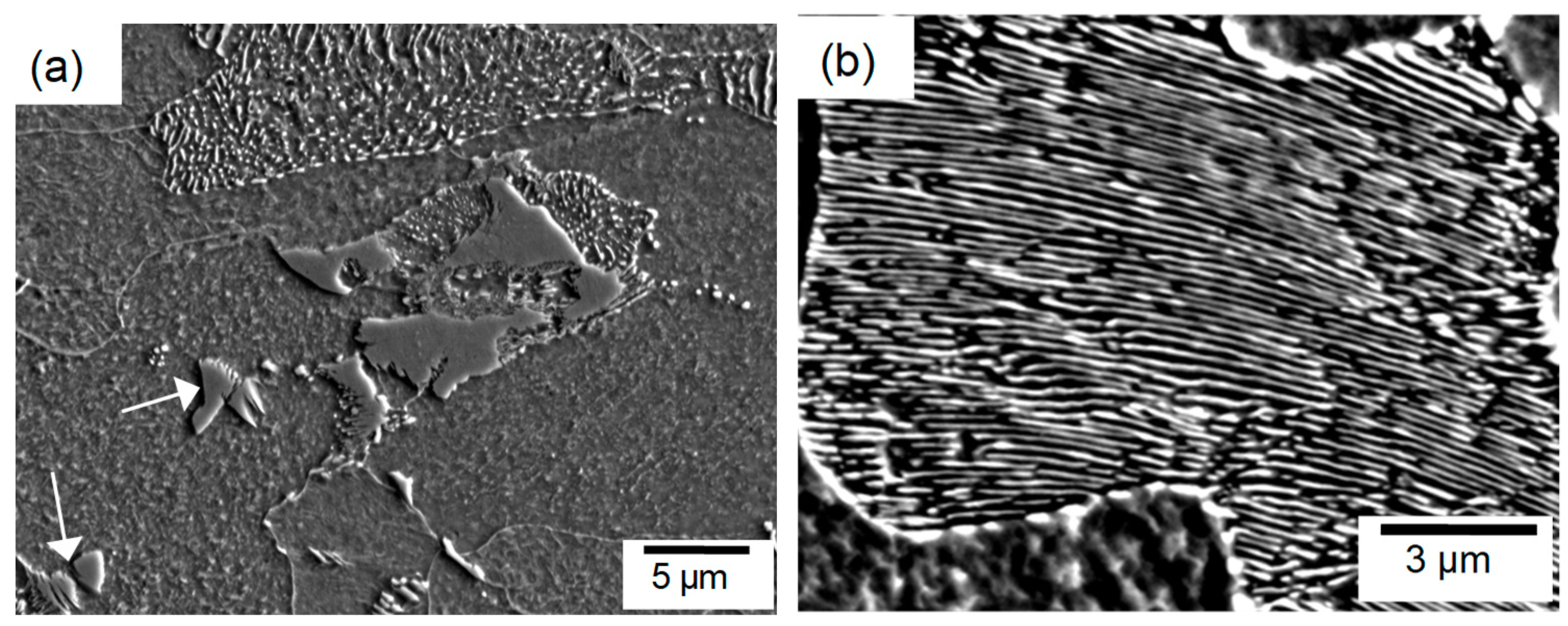 Metals 08 00976 g007