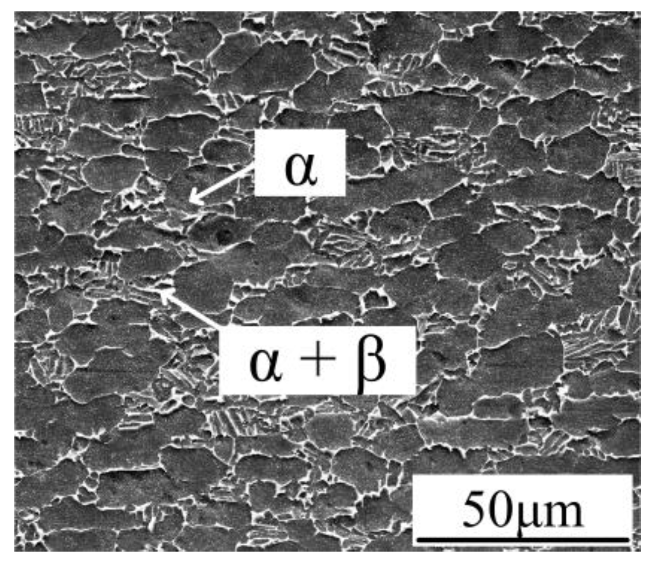 Metals 08 01002 g001