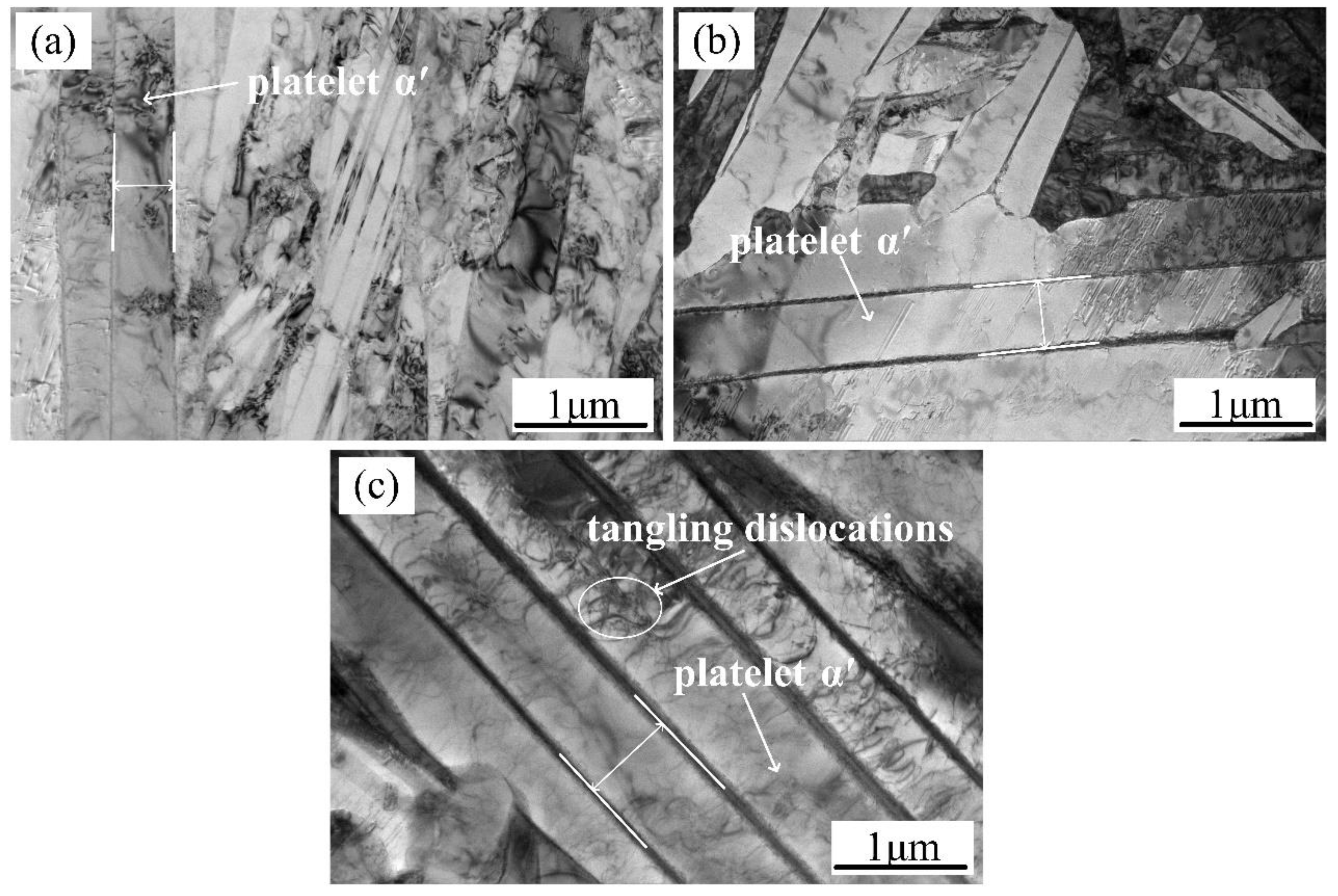 Metals 08 01002 g007