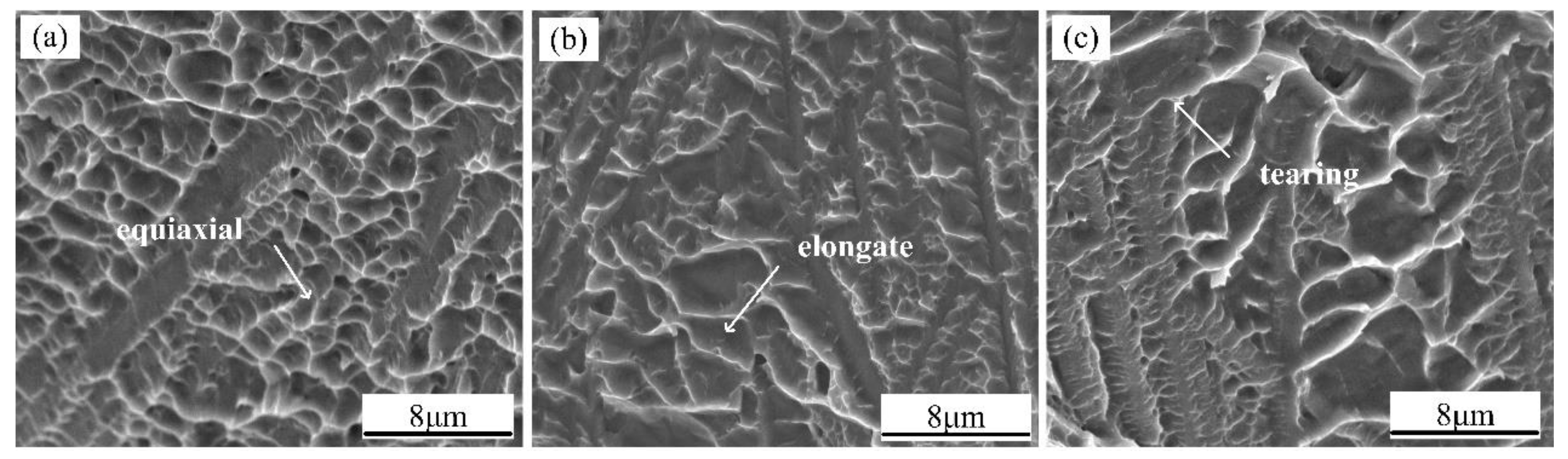 Metals 08 01002 g011