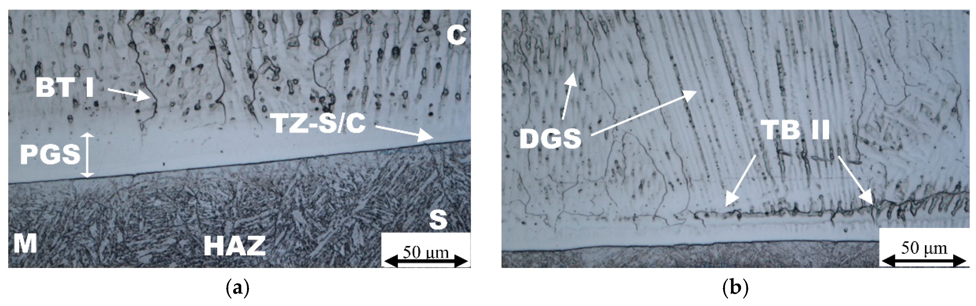Metals 08 01007 g002a