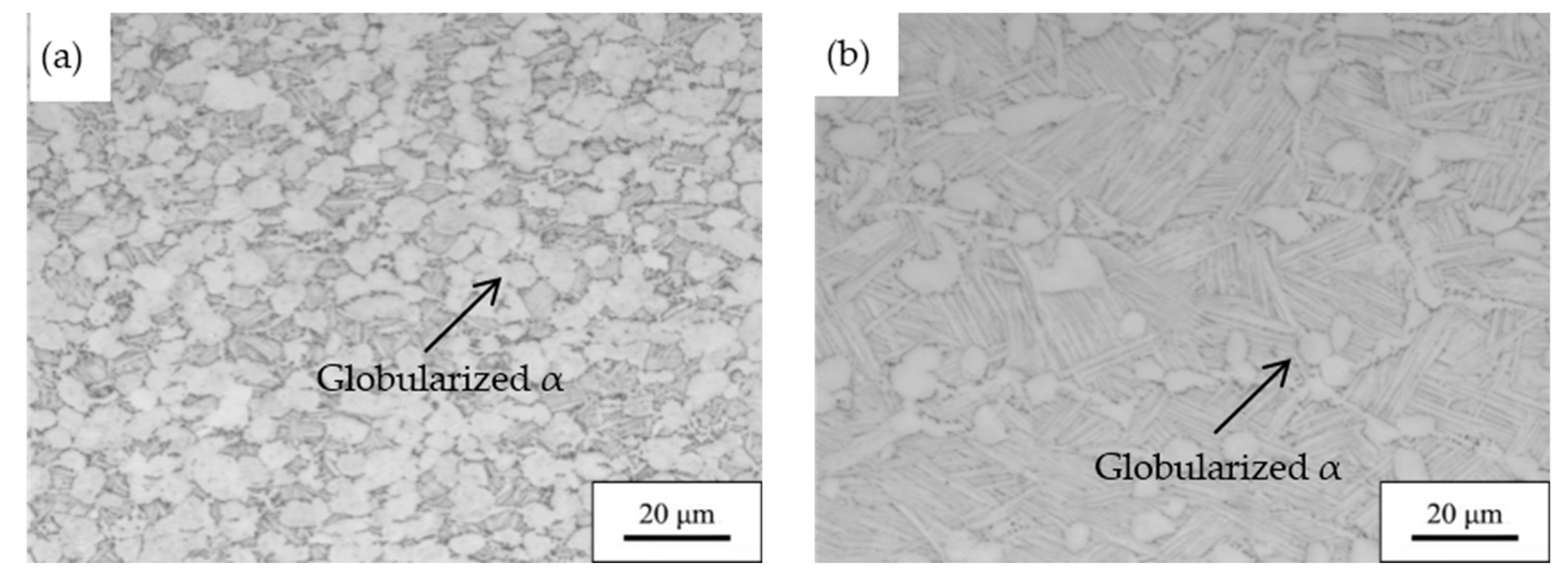 Metals 08 01045 g006a