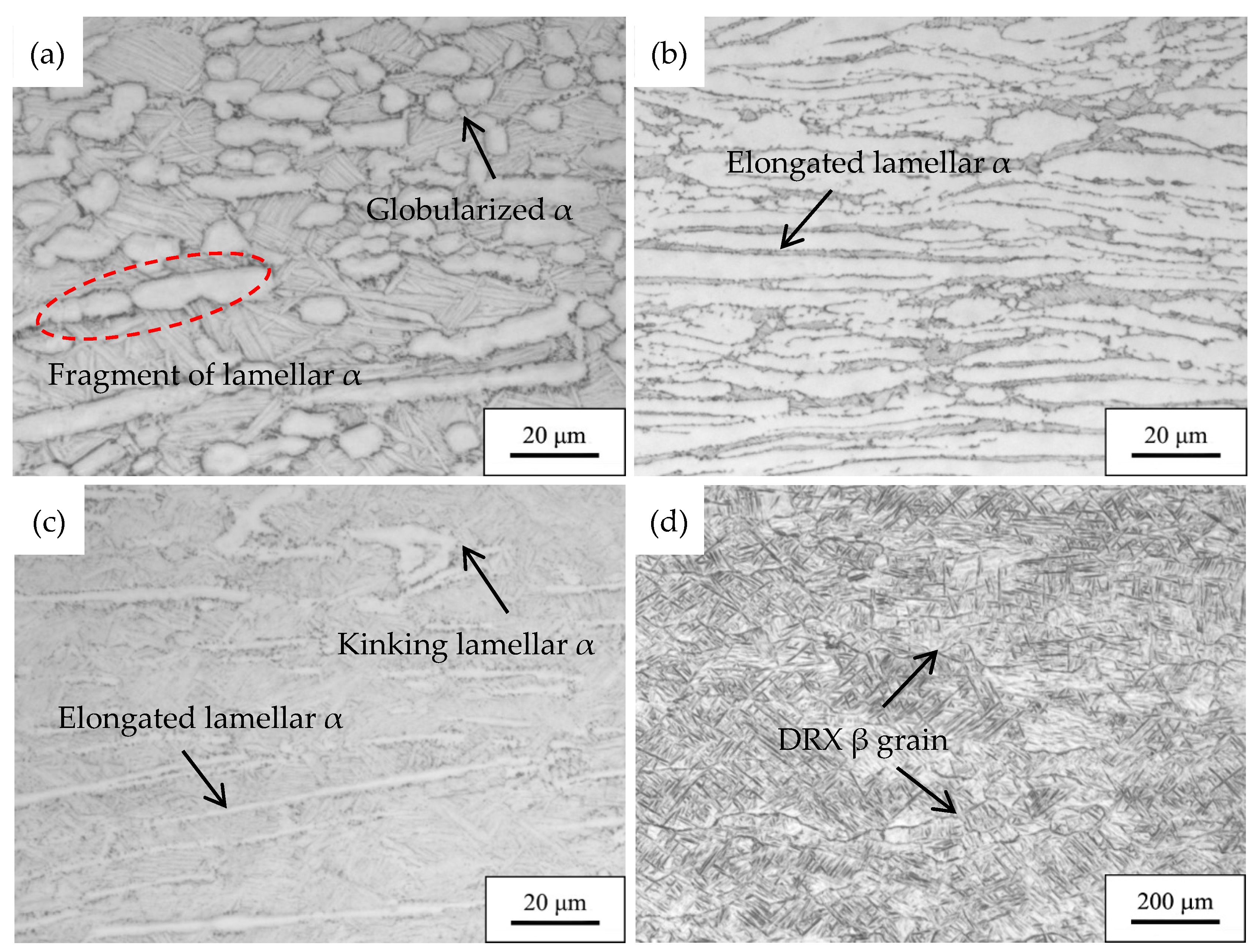 Metals 08 01045 g008