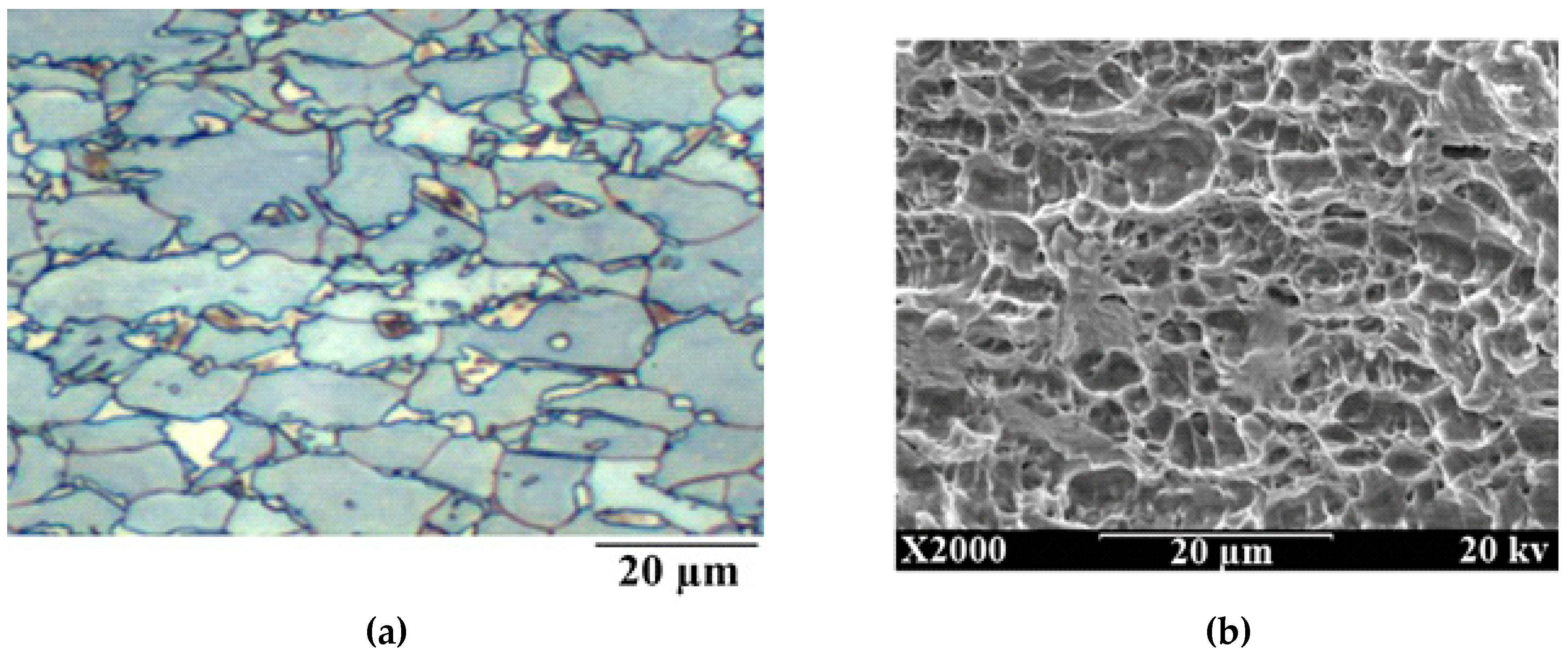 Metals 08 01073 g001