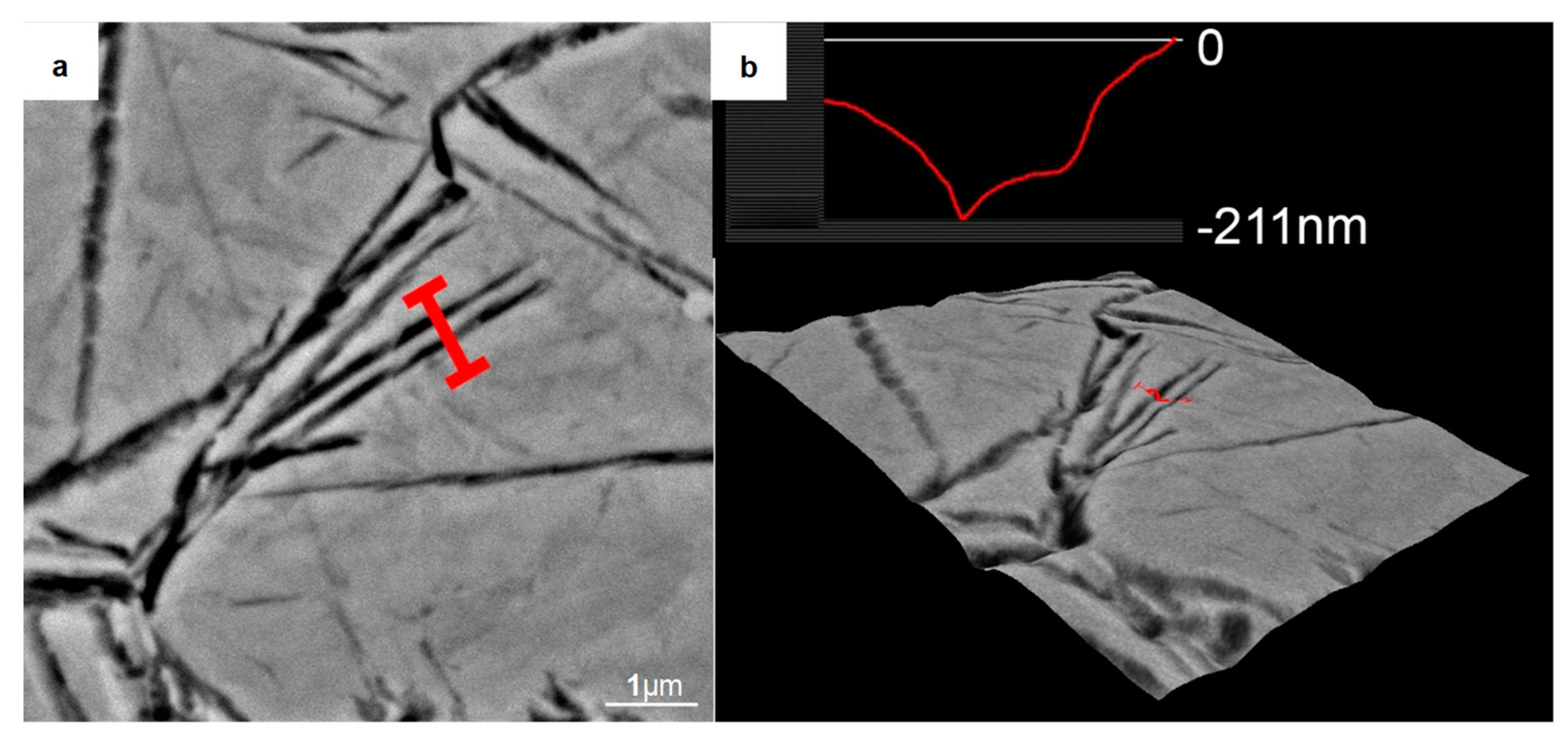 Metals 09 00003 g004