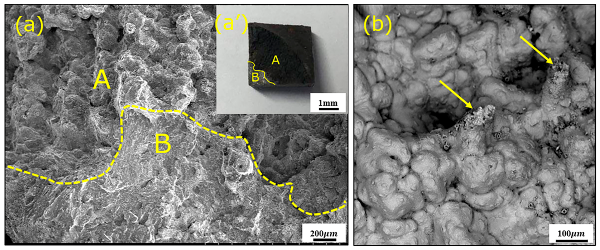 Metals 09 00025 g010