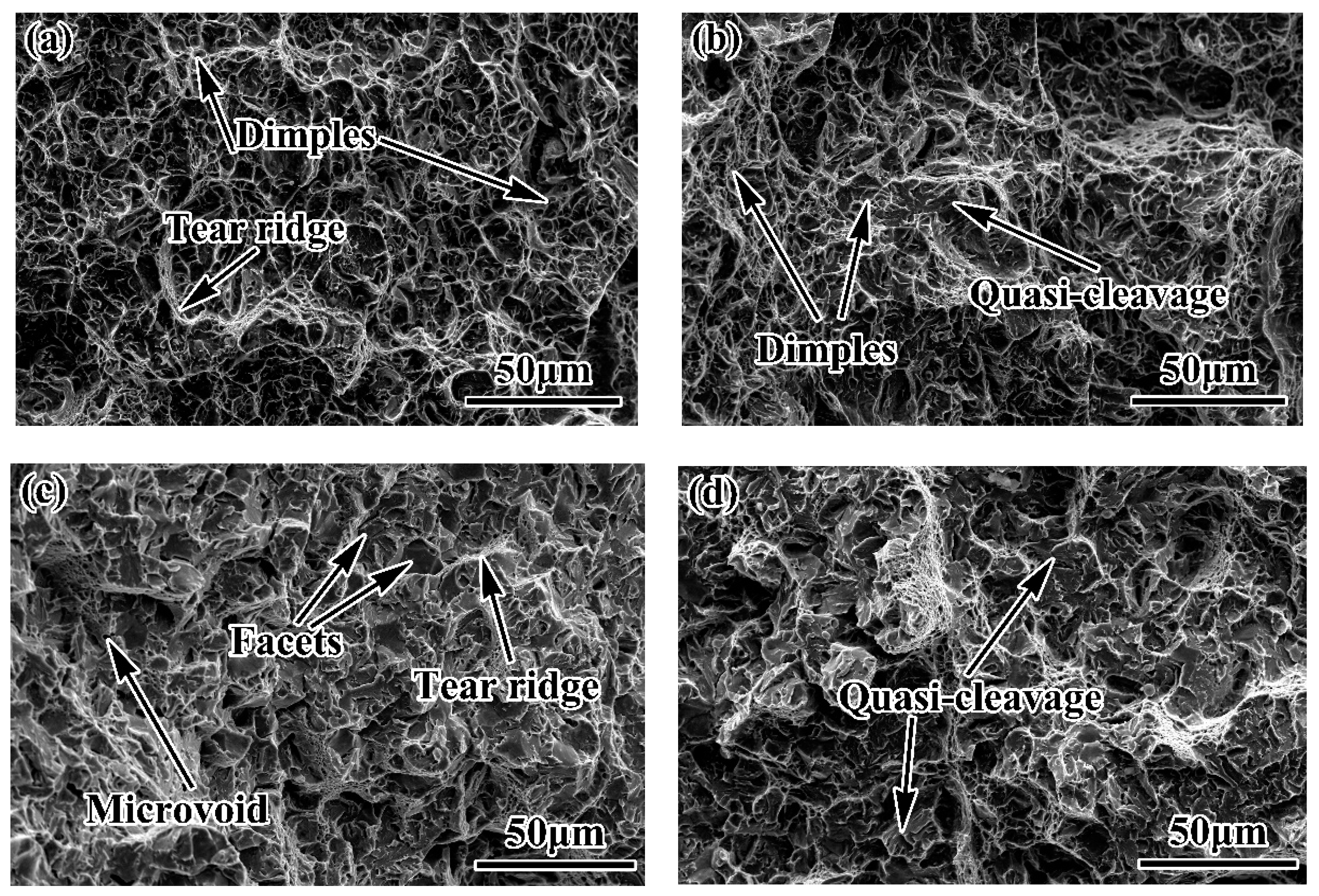 Metals 09 00045 g005