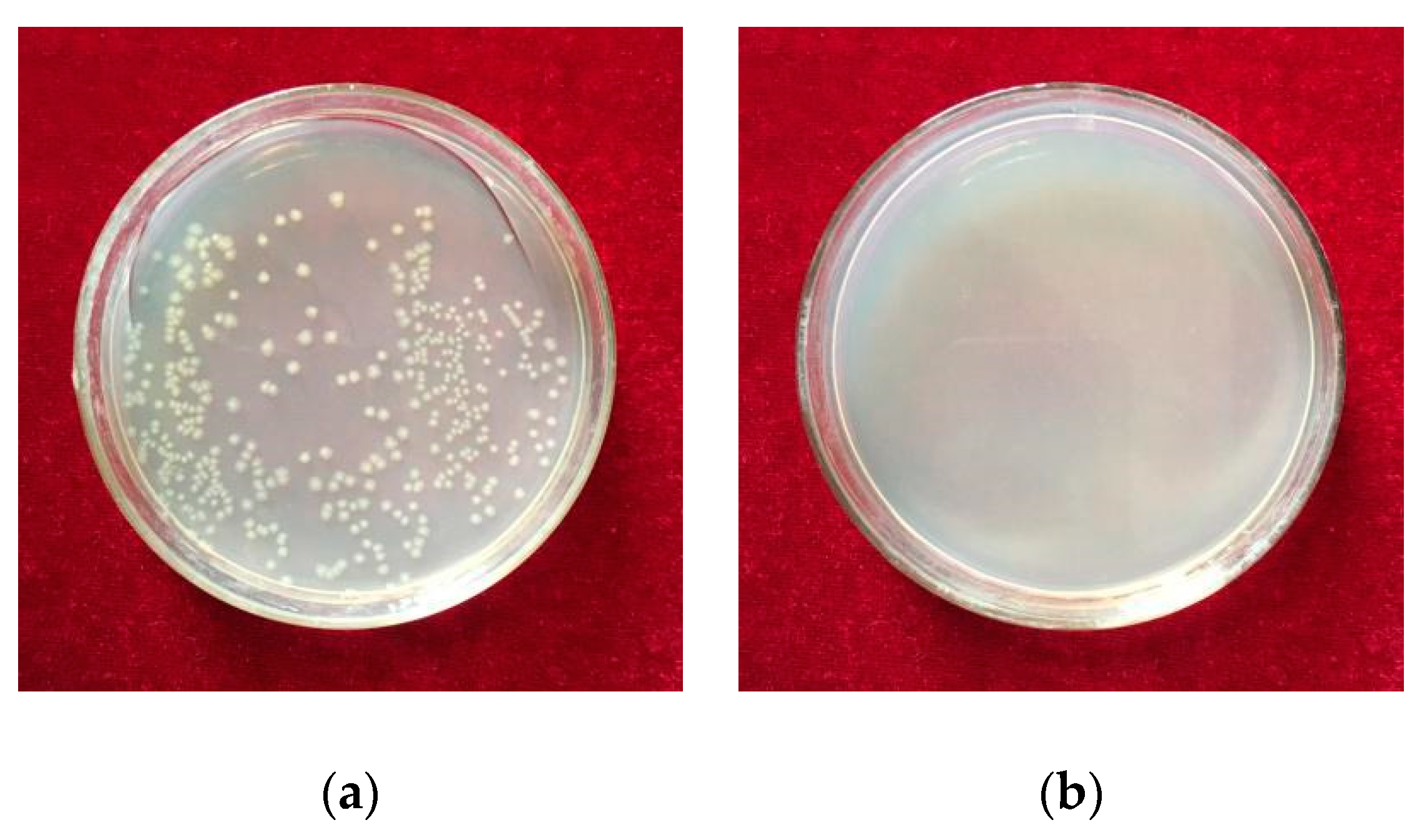 Metals 09 00052 g006