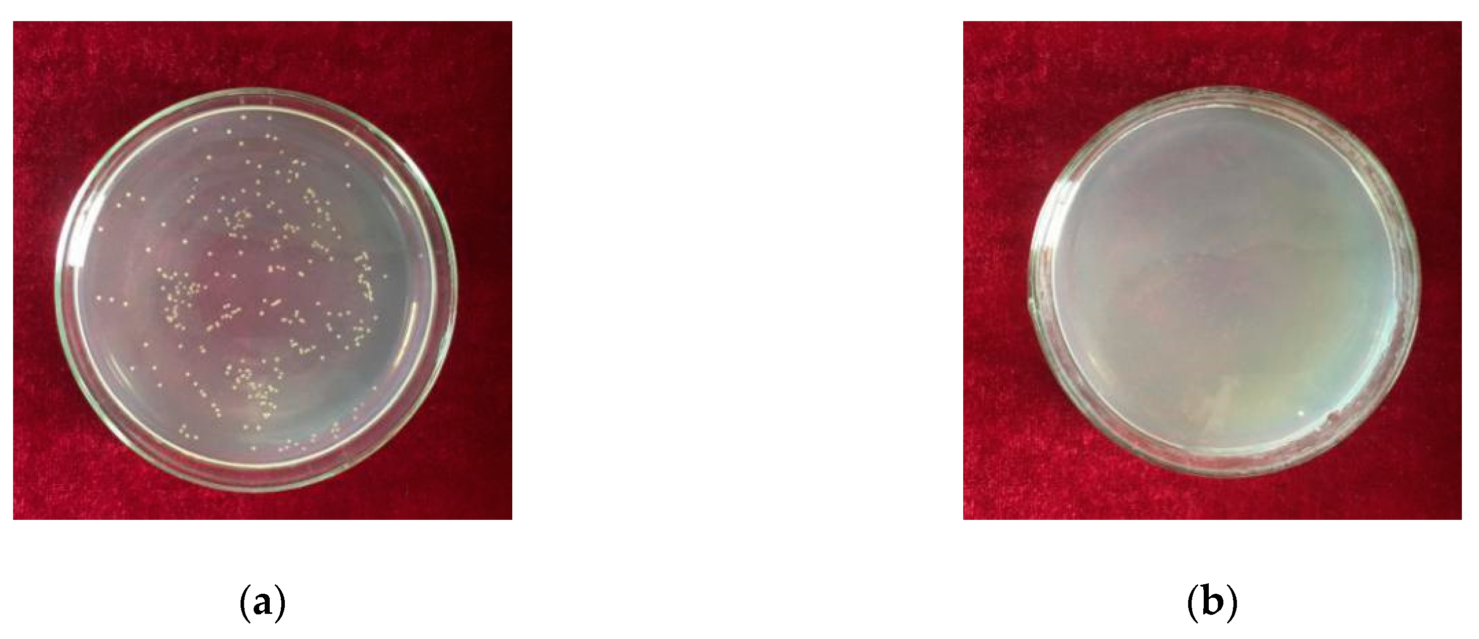 Metals 09 00052 g007