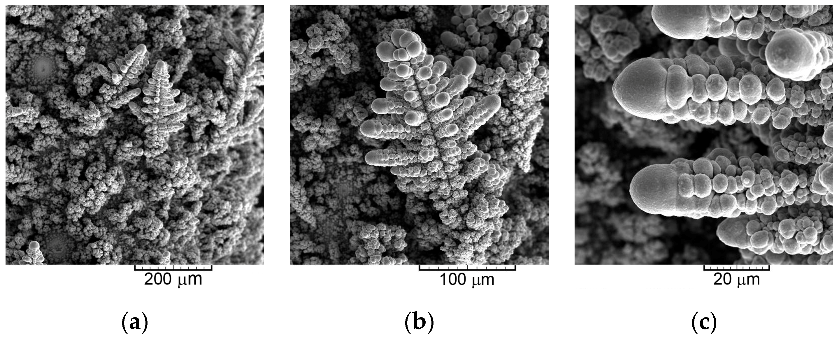 Metals 09 00056 g003a