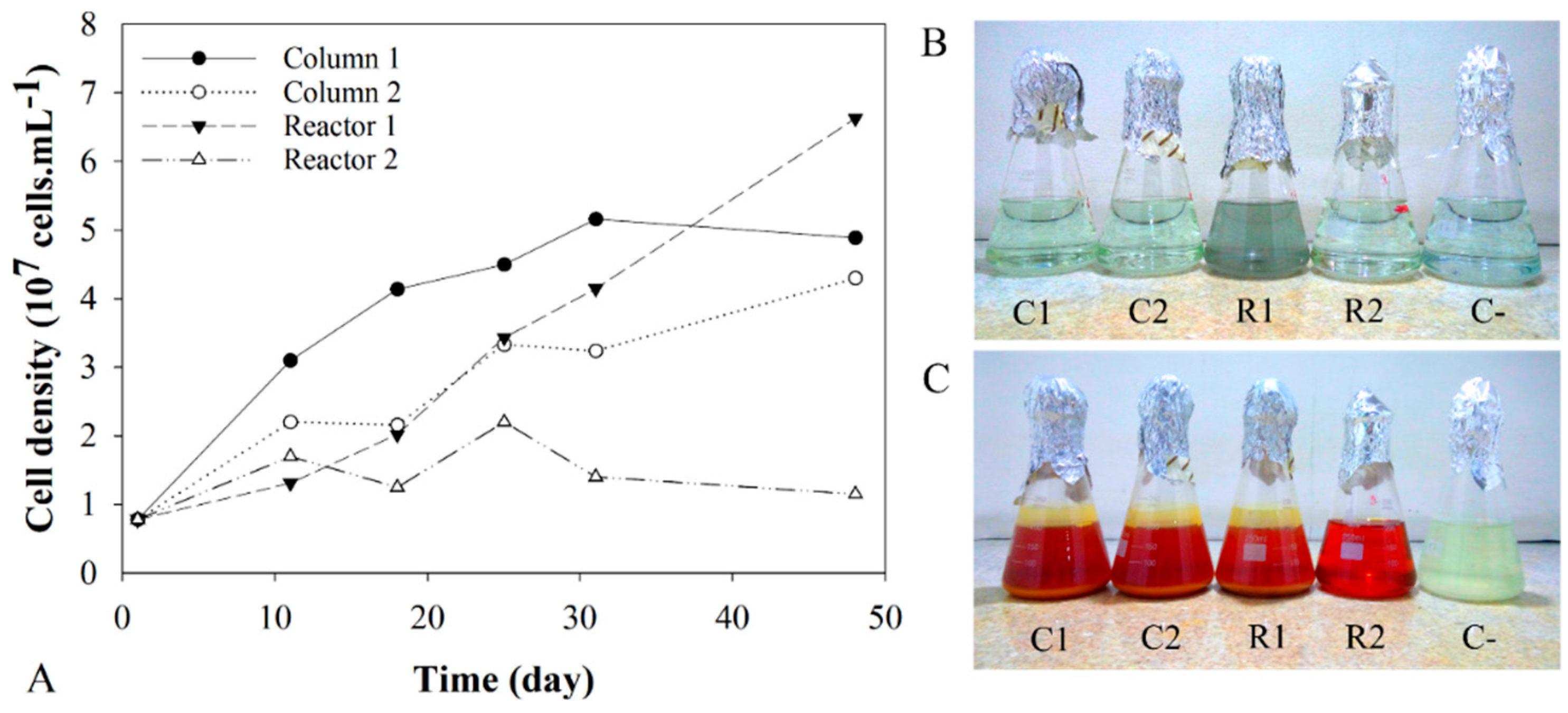 Metals 09 00081 g005