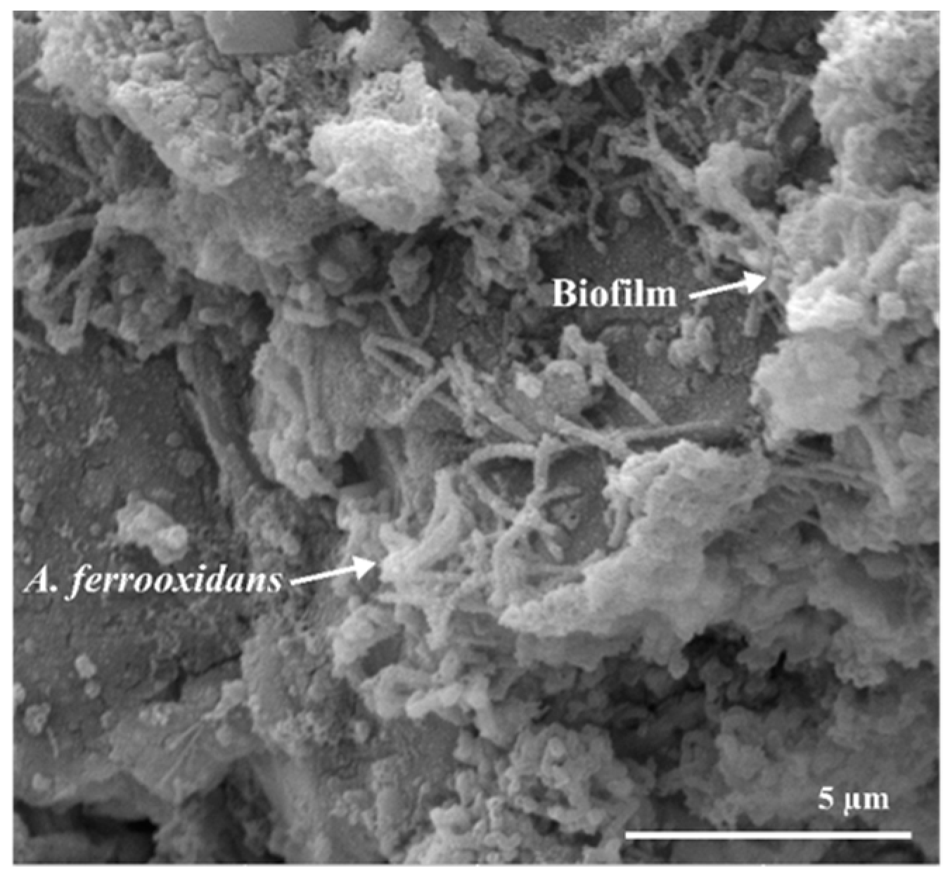 Metals 09 00081 g006