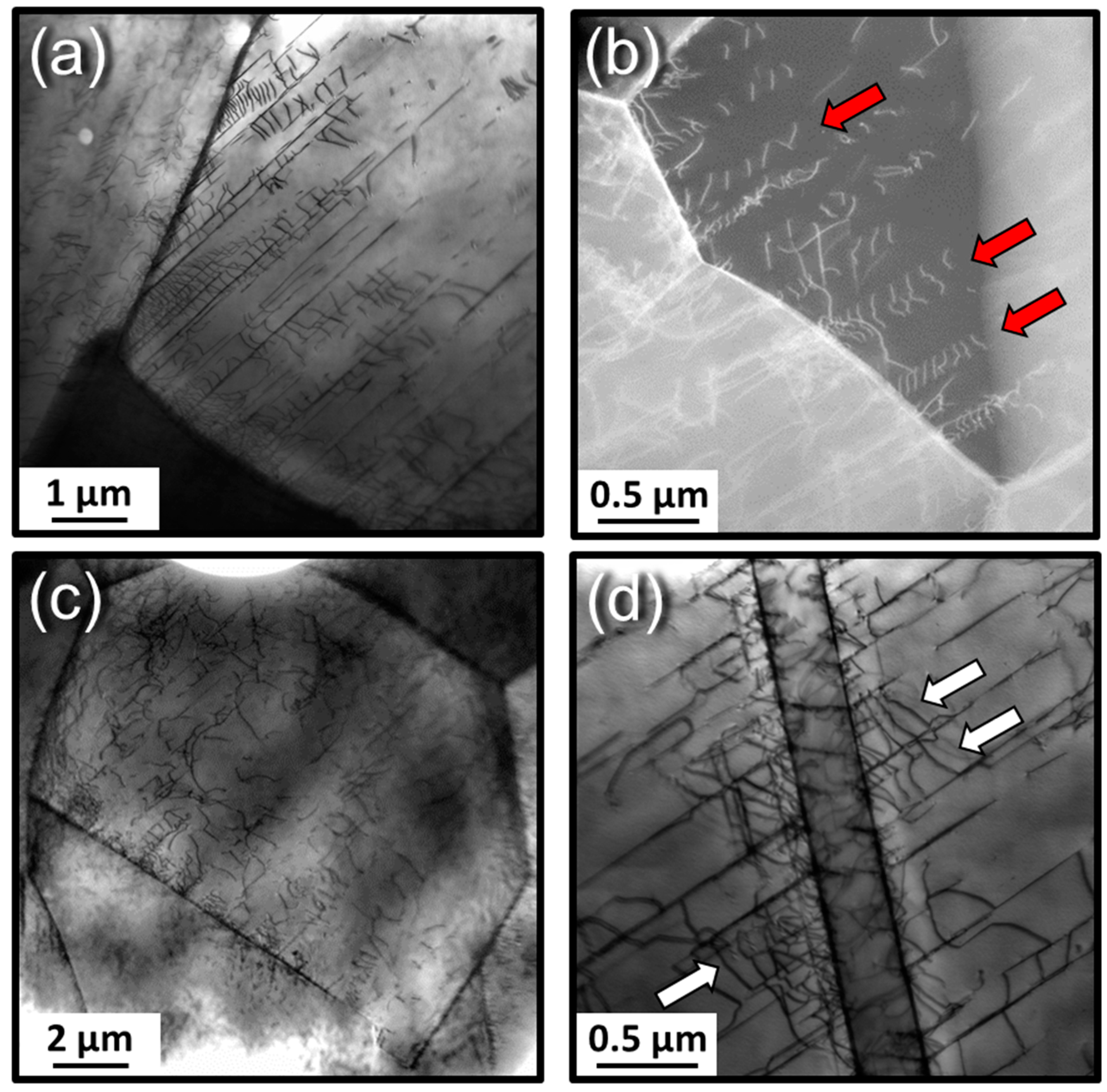 Metals 09 00084 g008