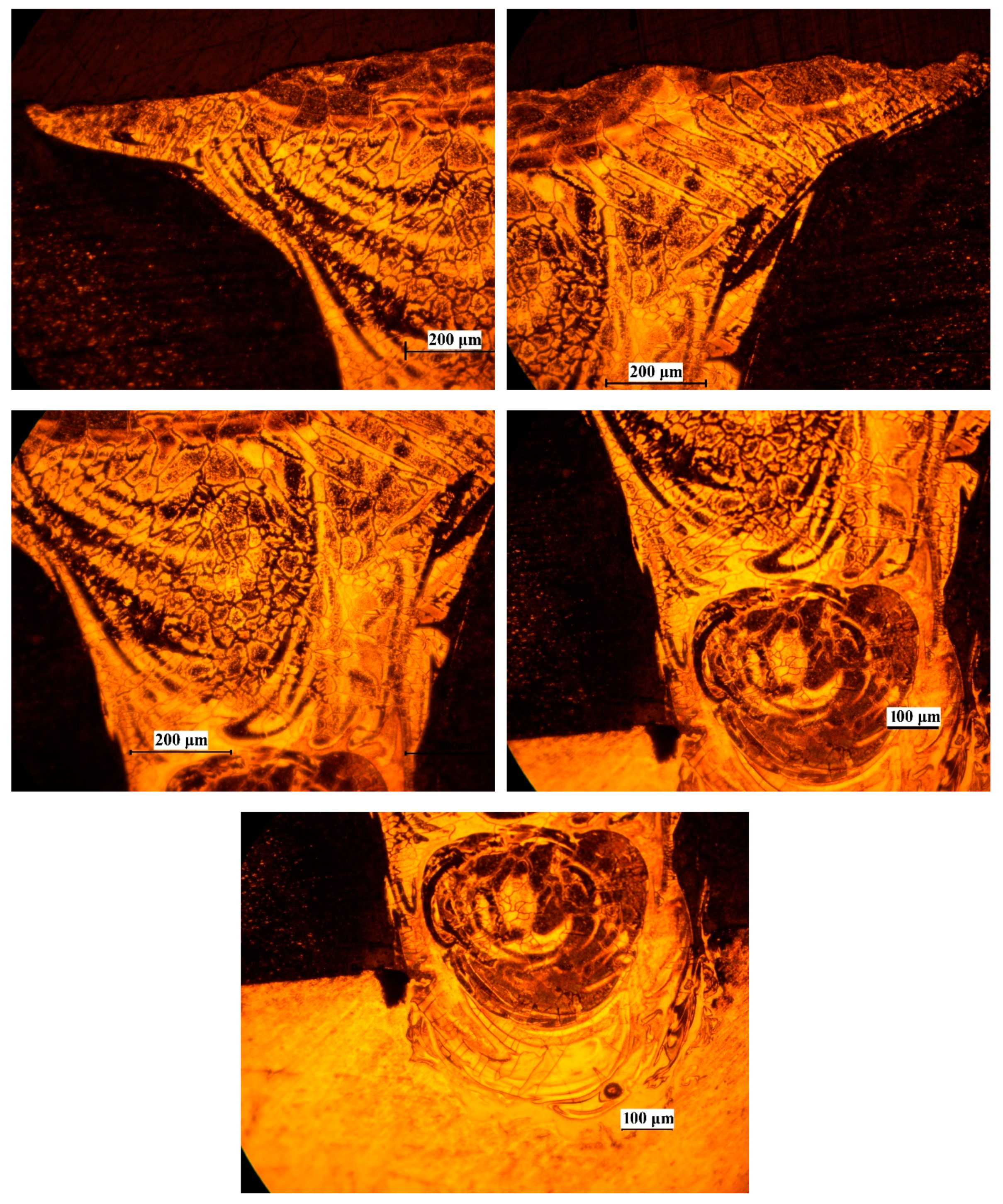 Metals 09 00102 g013