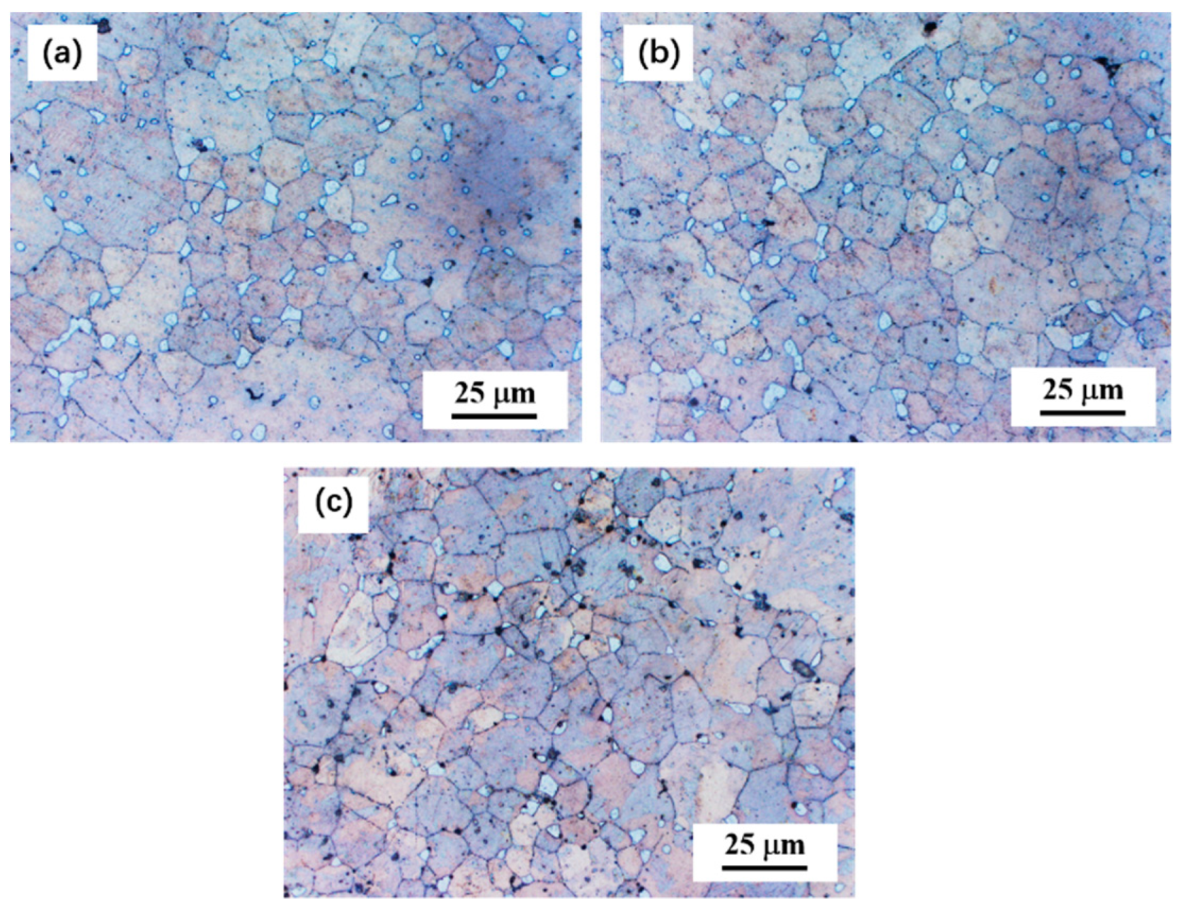 Metals 09 00113 g010