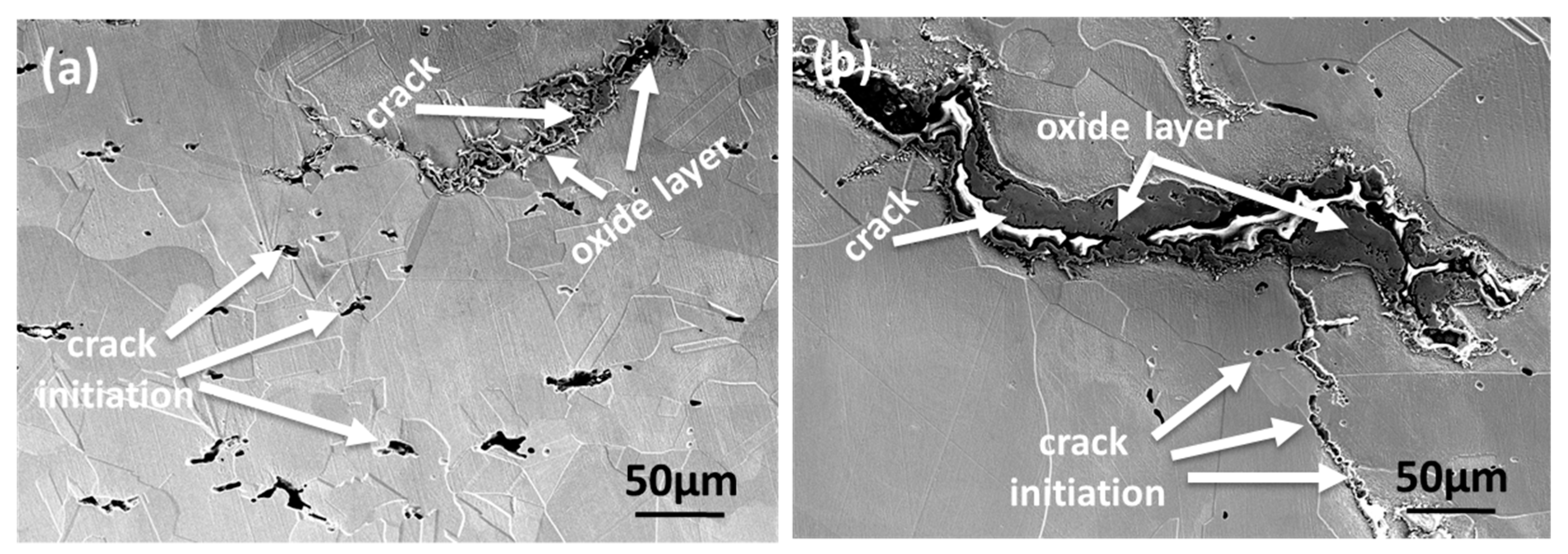 Metals 09 00129 g008