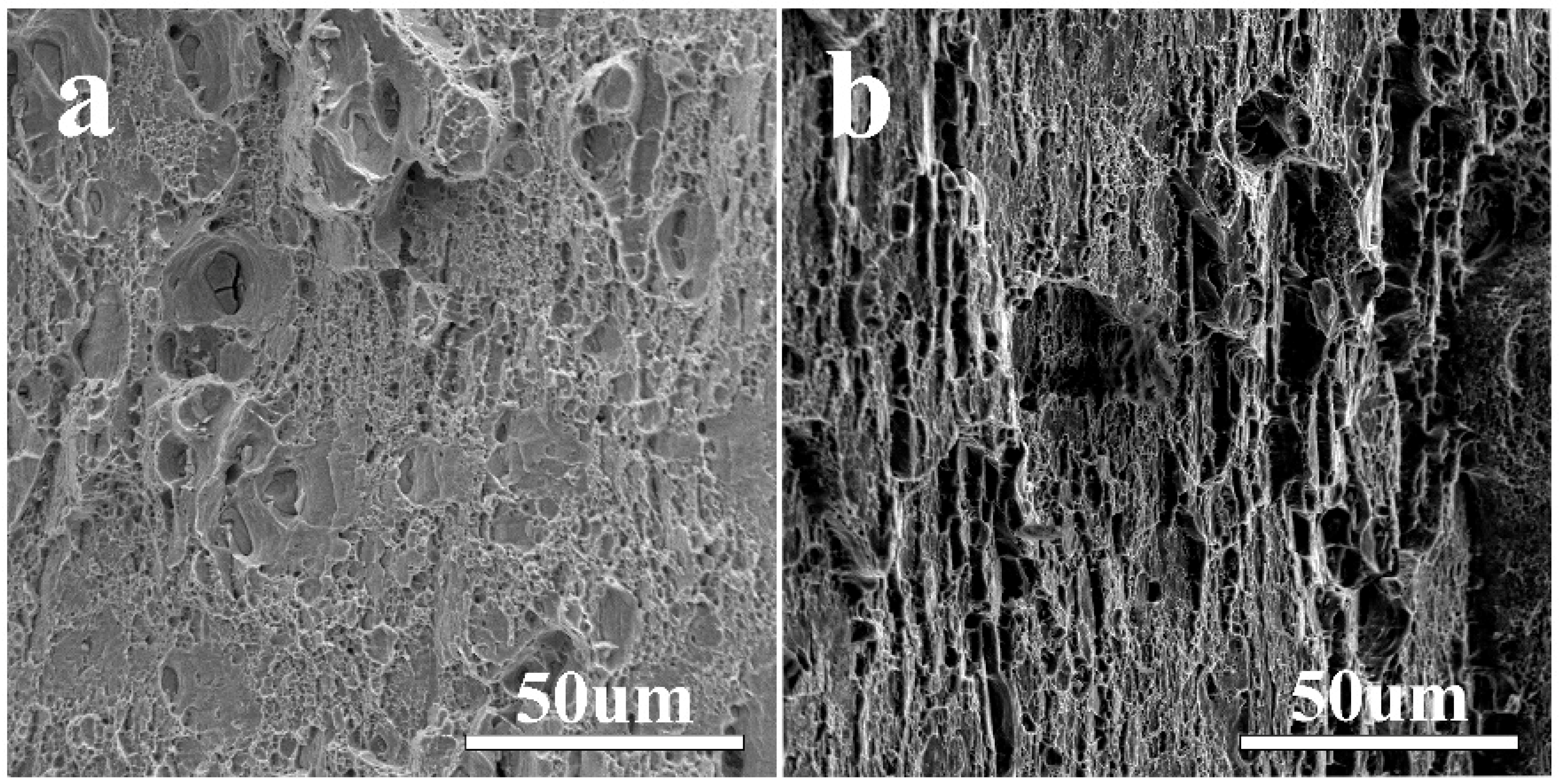 Metals 09 00140 g006