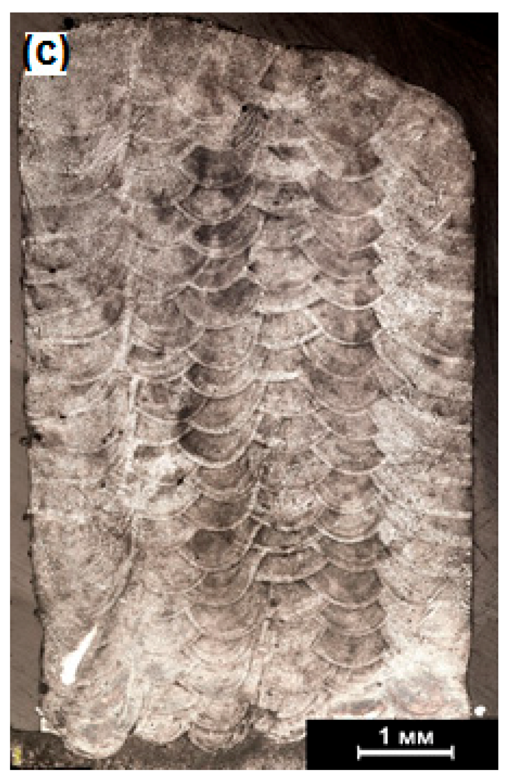 Metals 09 00141 g009b