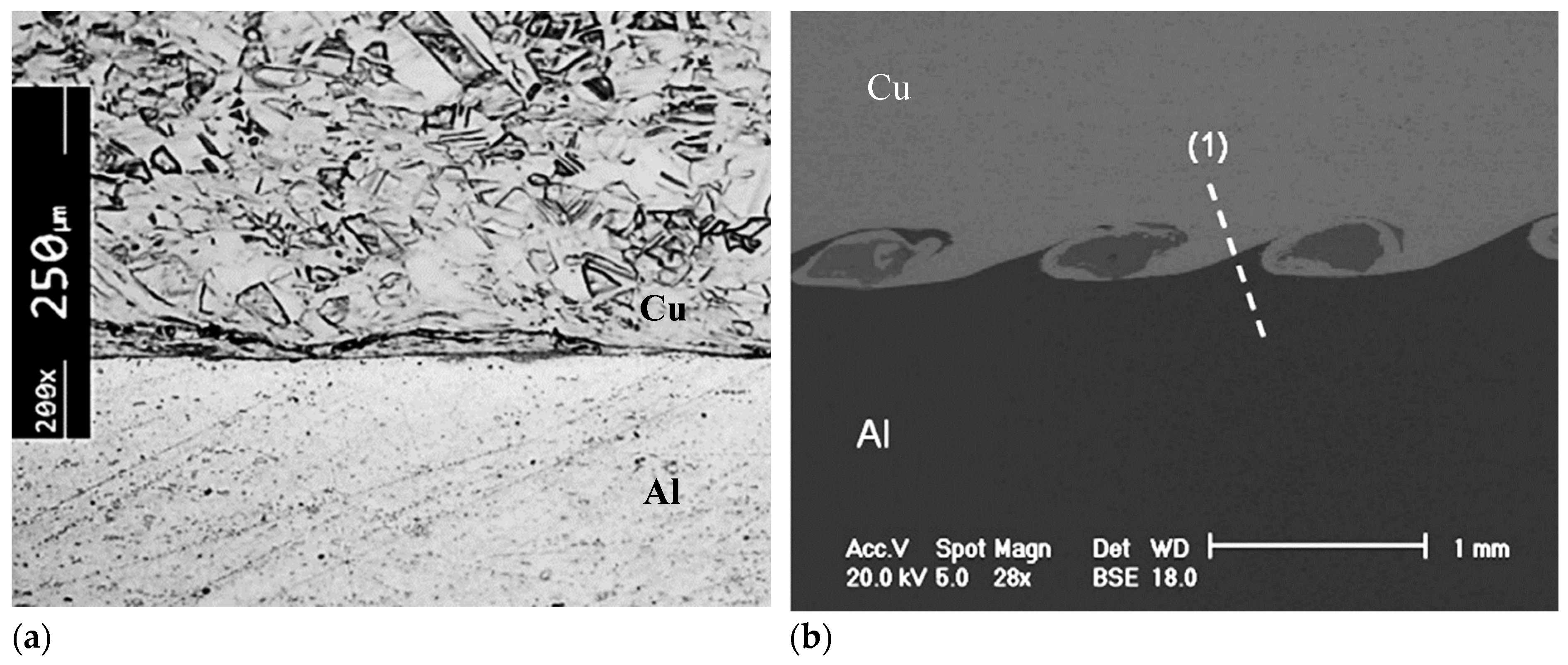 Metals 09 00144 g006