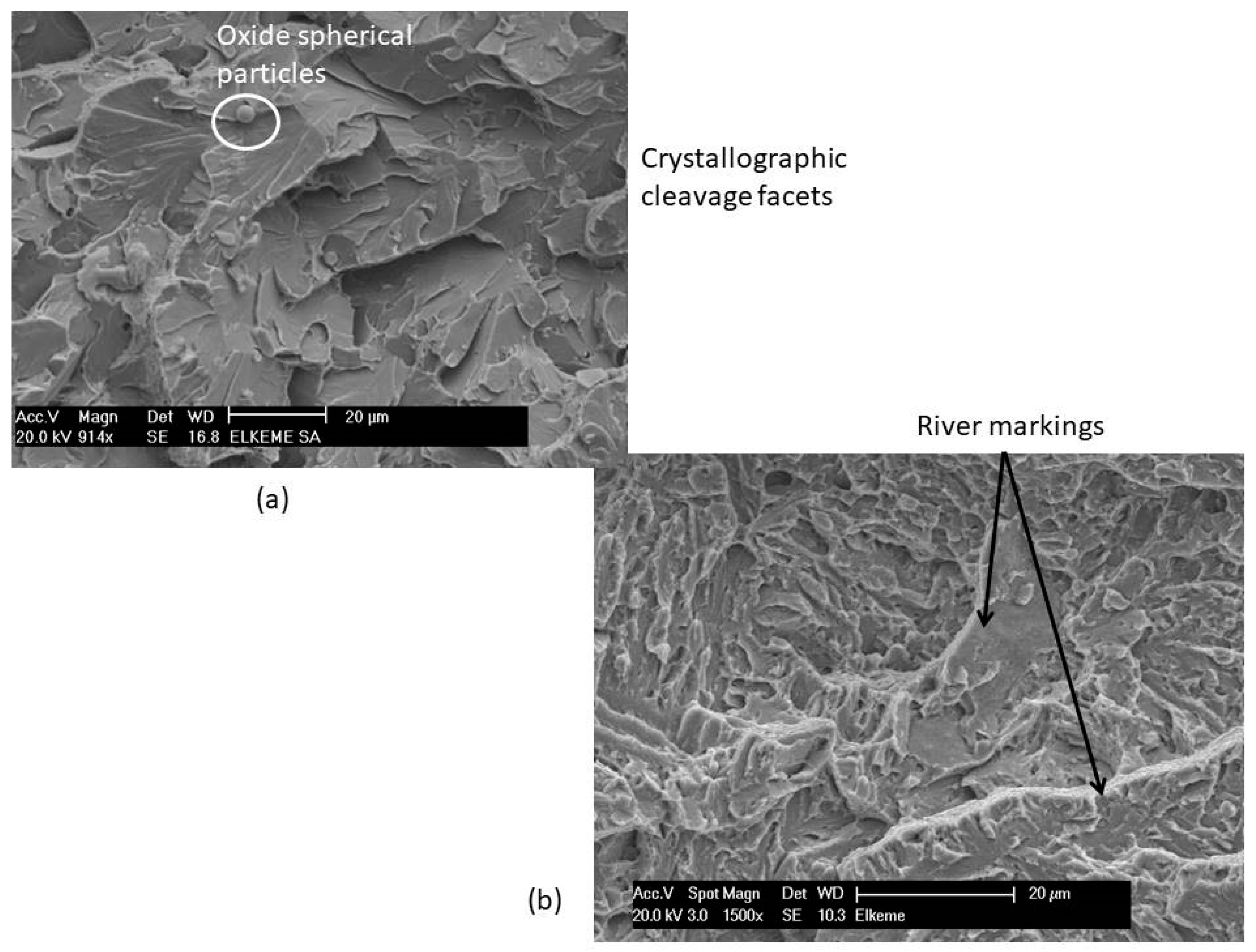 Metals 09 00148 g002