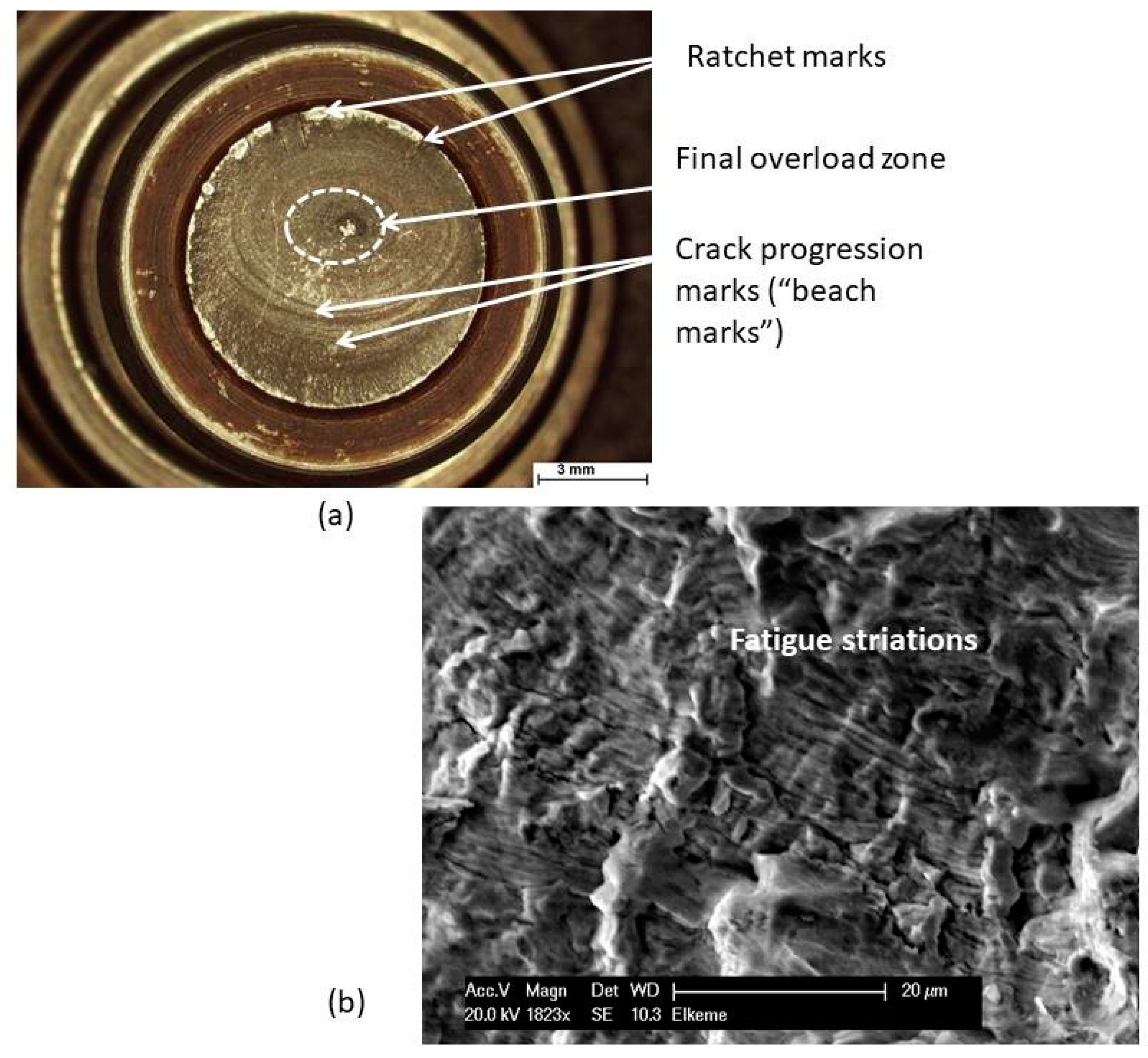 Metals 09 00148 g004