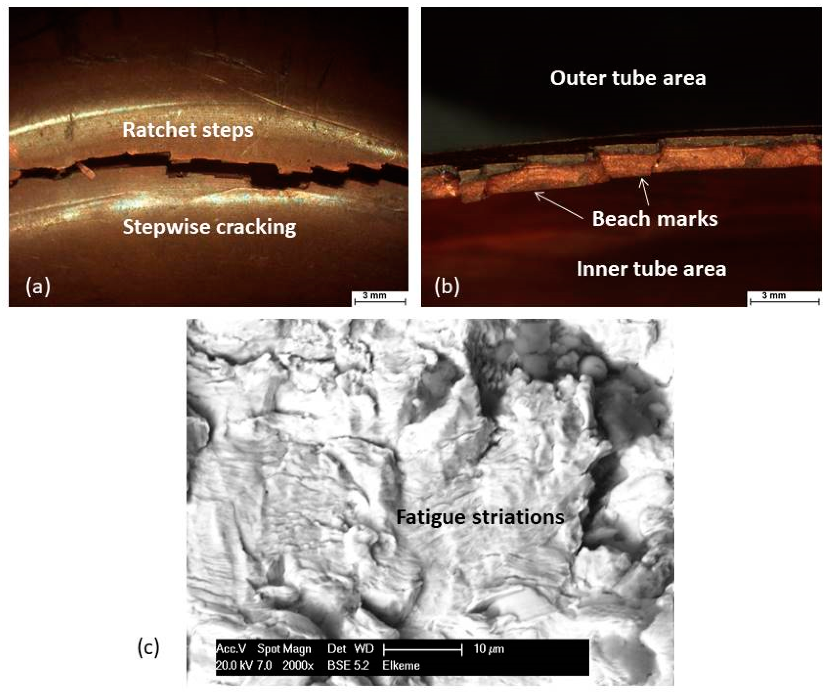 Metals 09 00148 g005