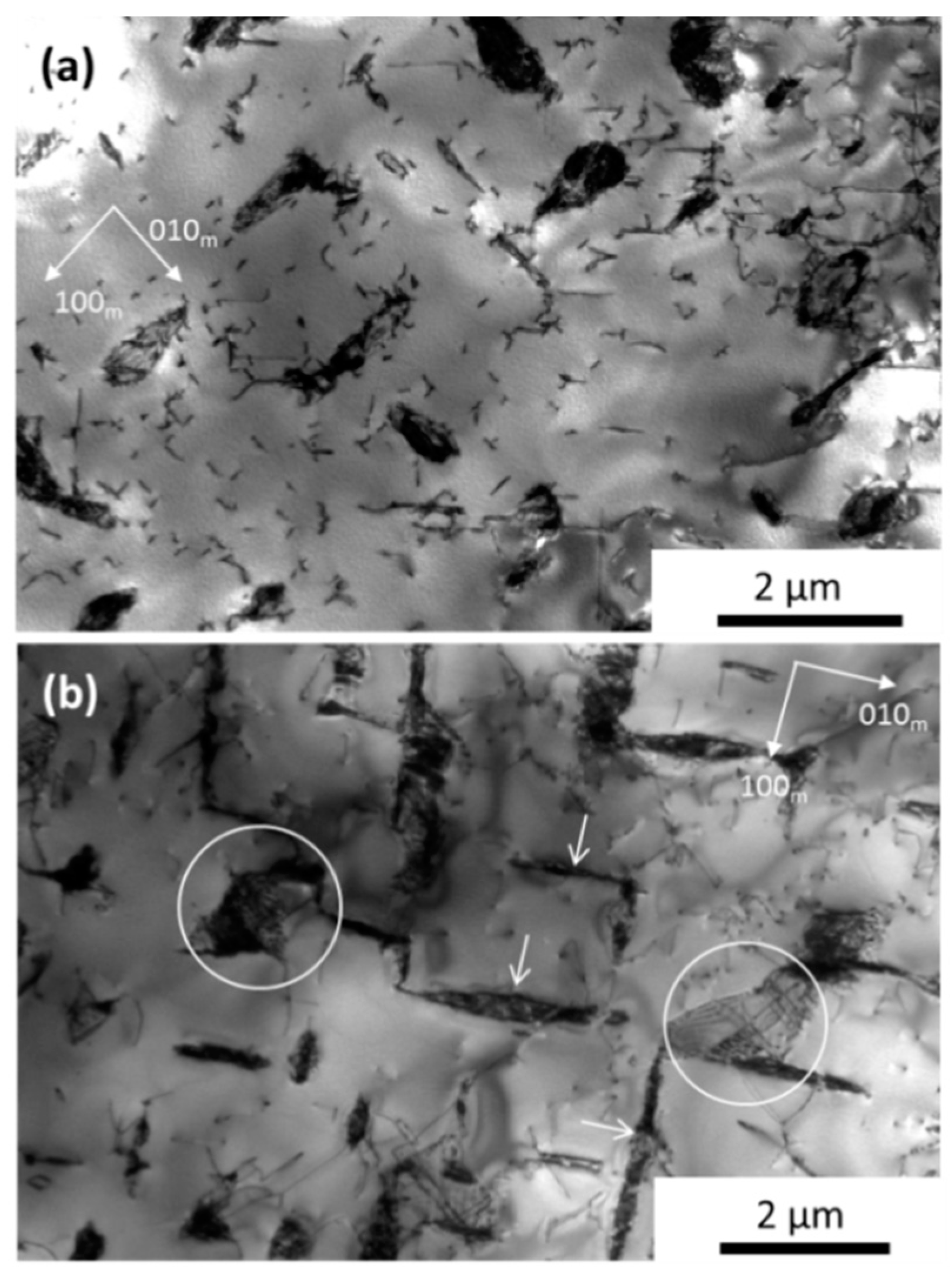 Metals 09 00160 g004