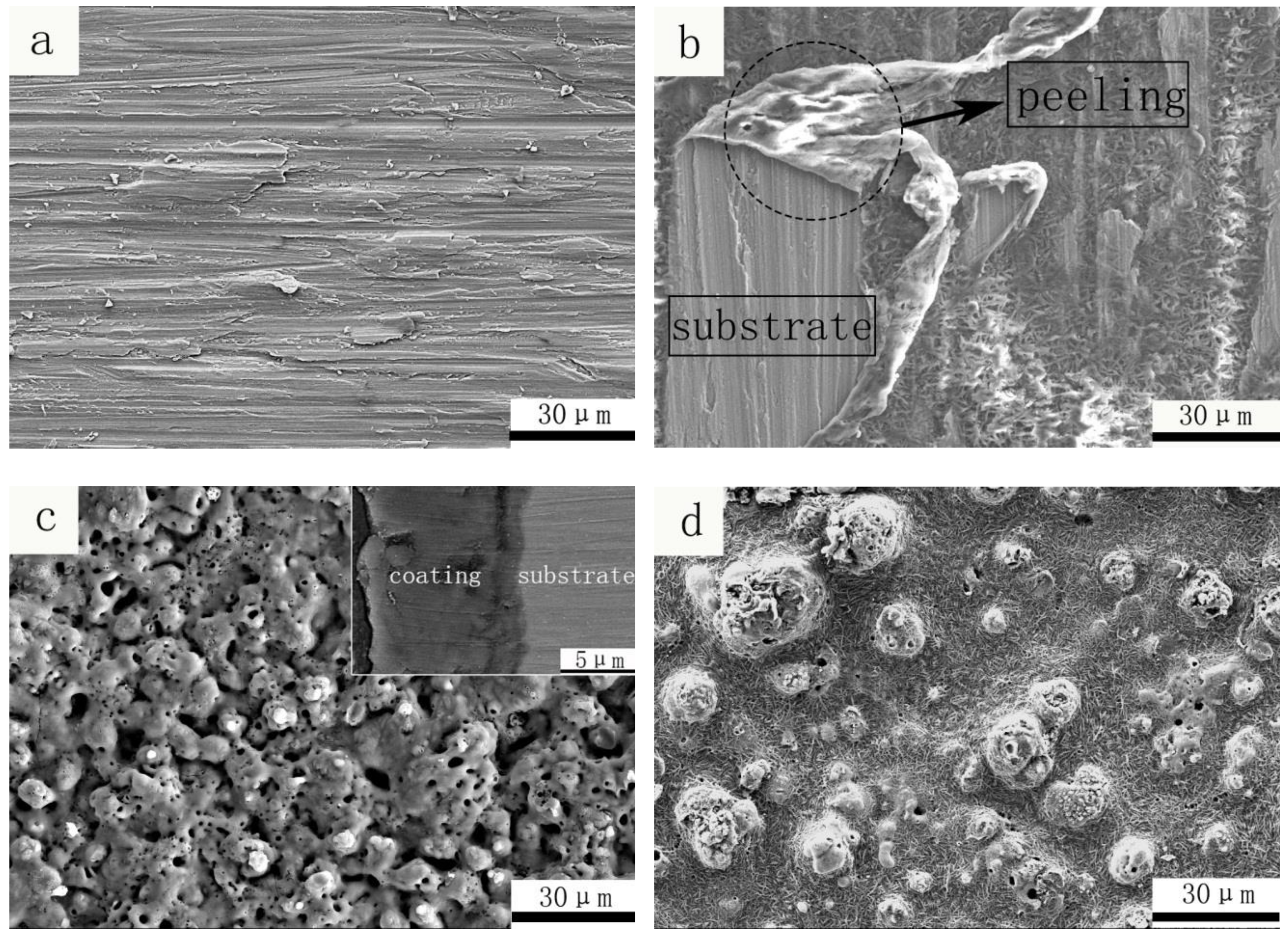 Metals 09 00170 g002