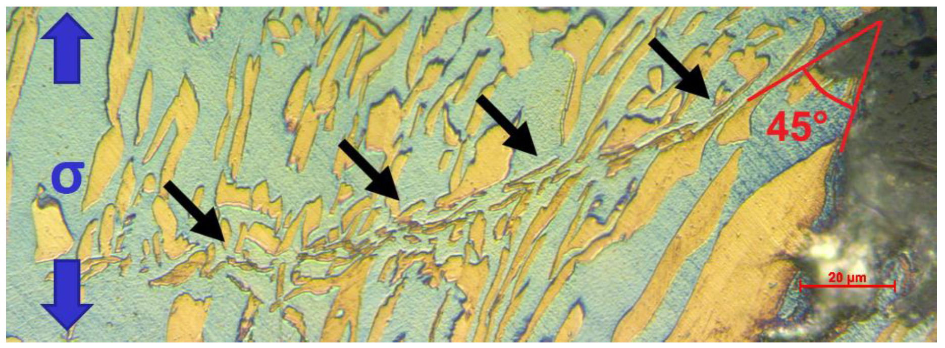 Metals 09 00191 g007