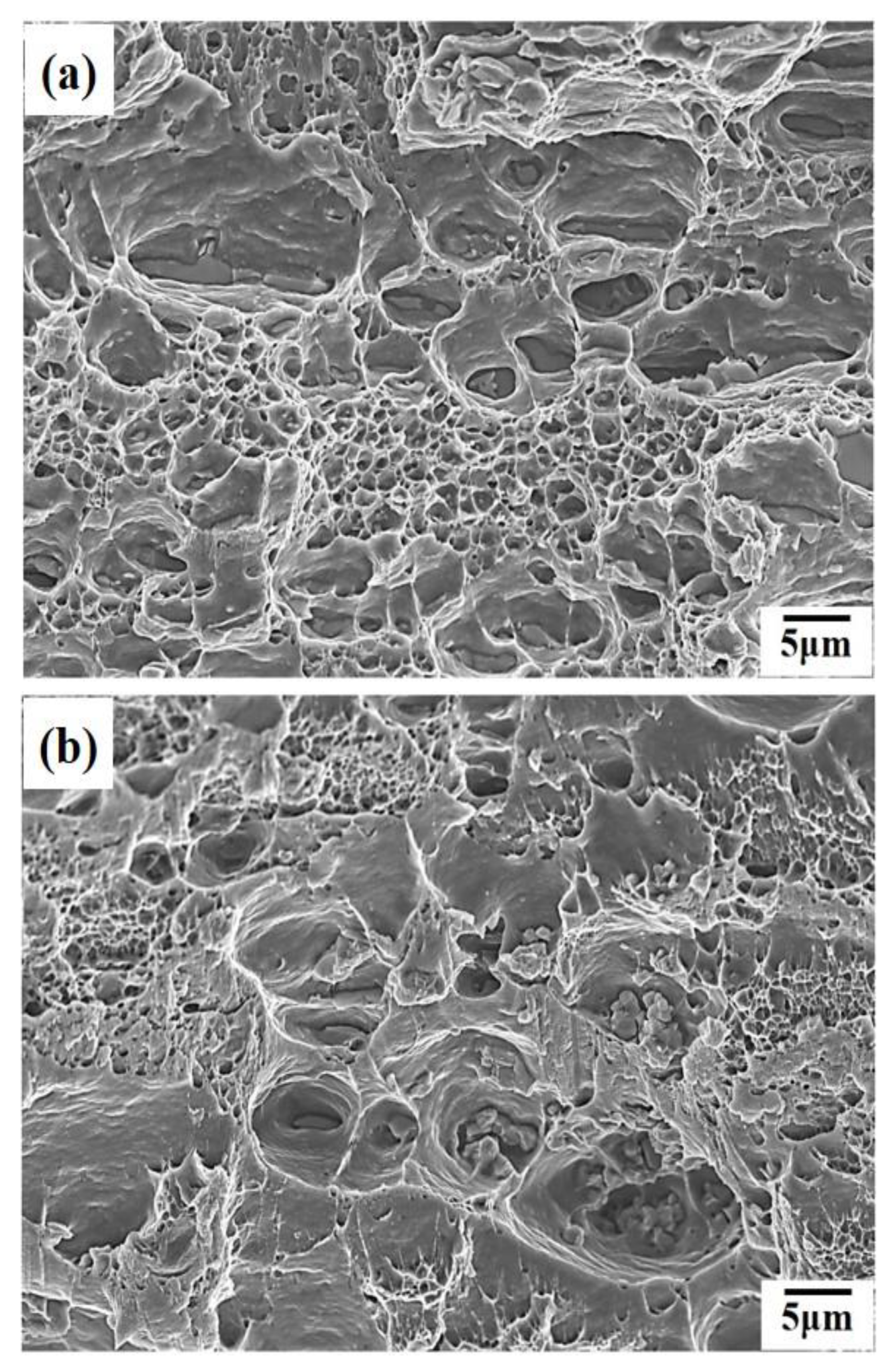 Metals 09 00196 g005a
