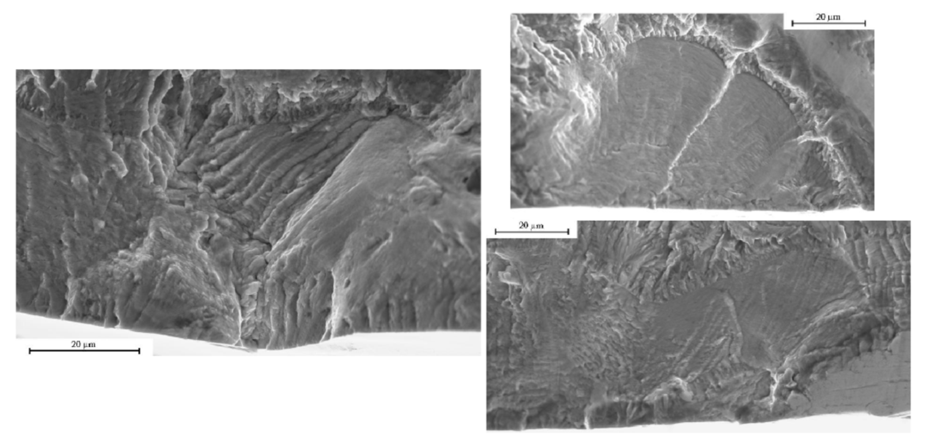 Metals 09 00197 g007