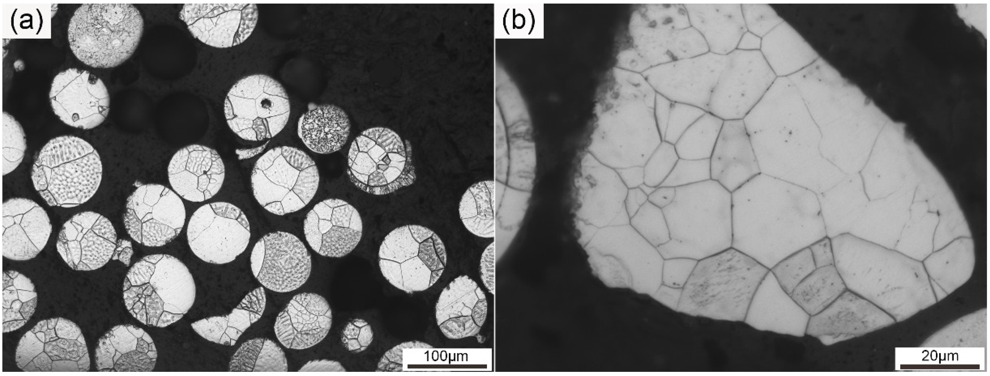 Metals 09 00200 g001