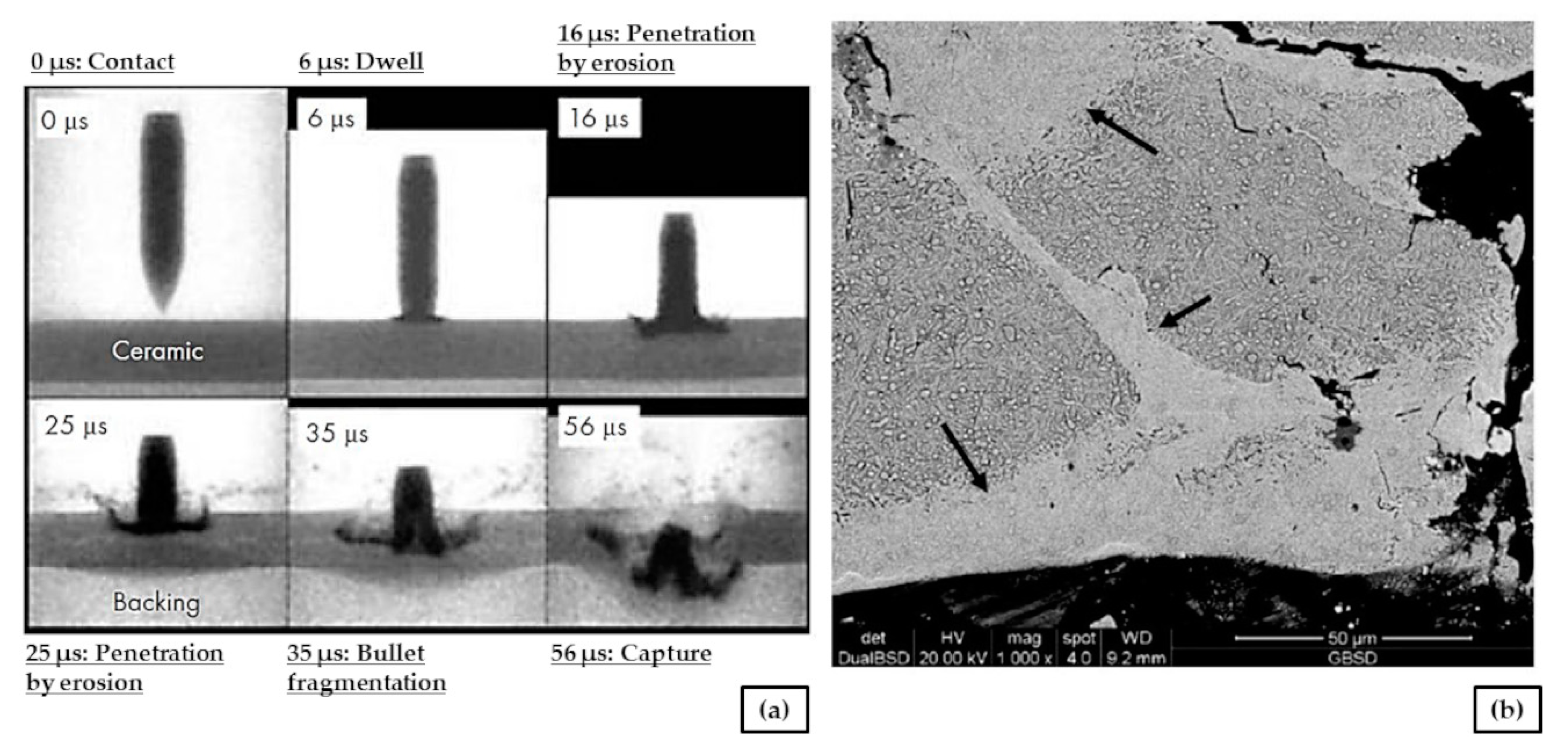 Metals 09 00216 g001