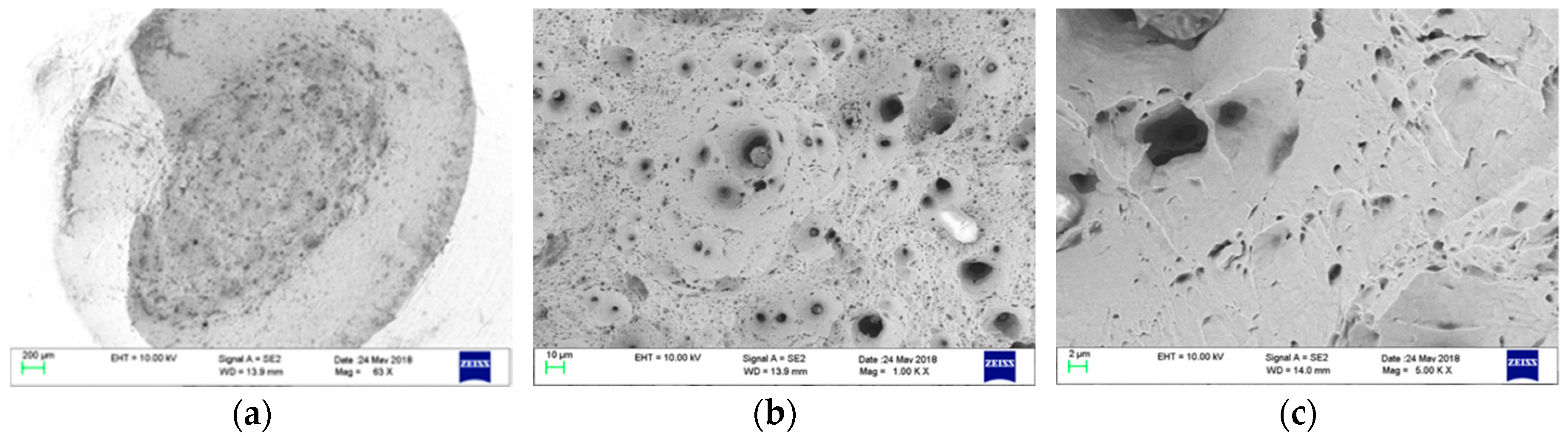 Metals 09 00224 g011