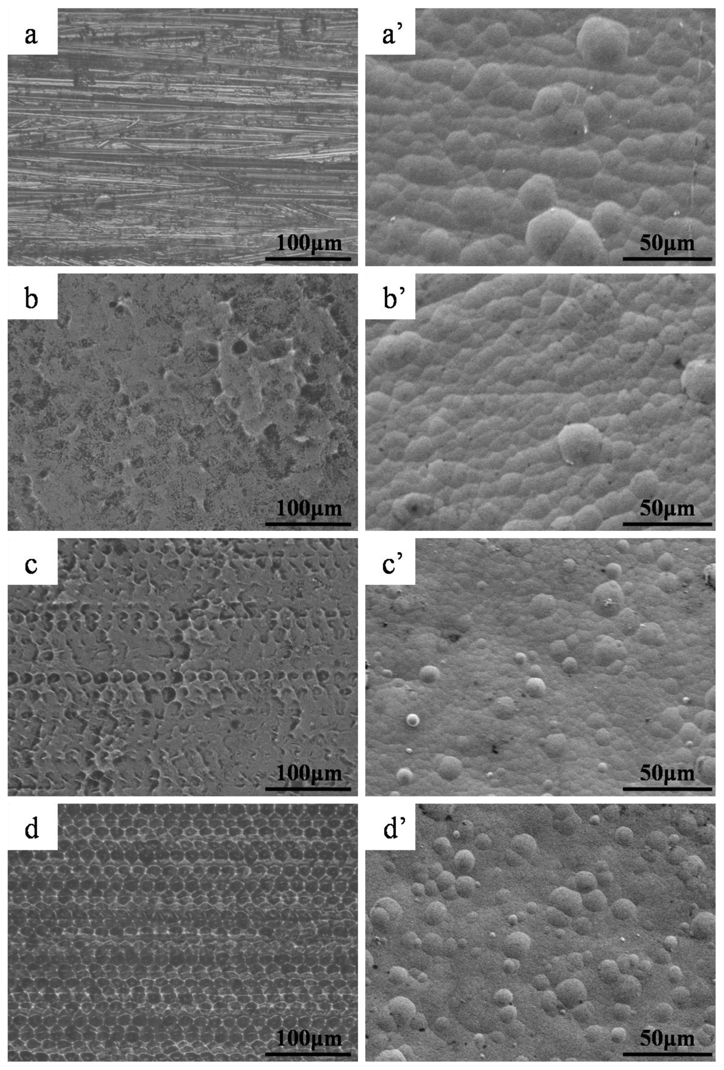 Metals 09 00248 g003