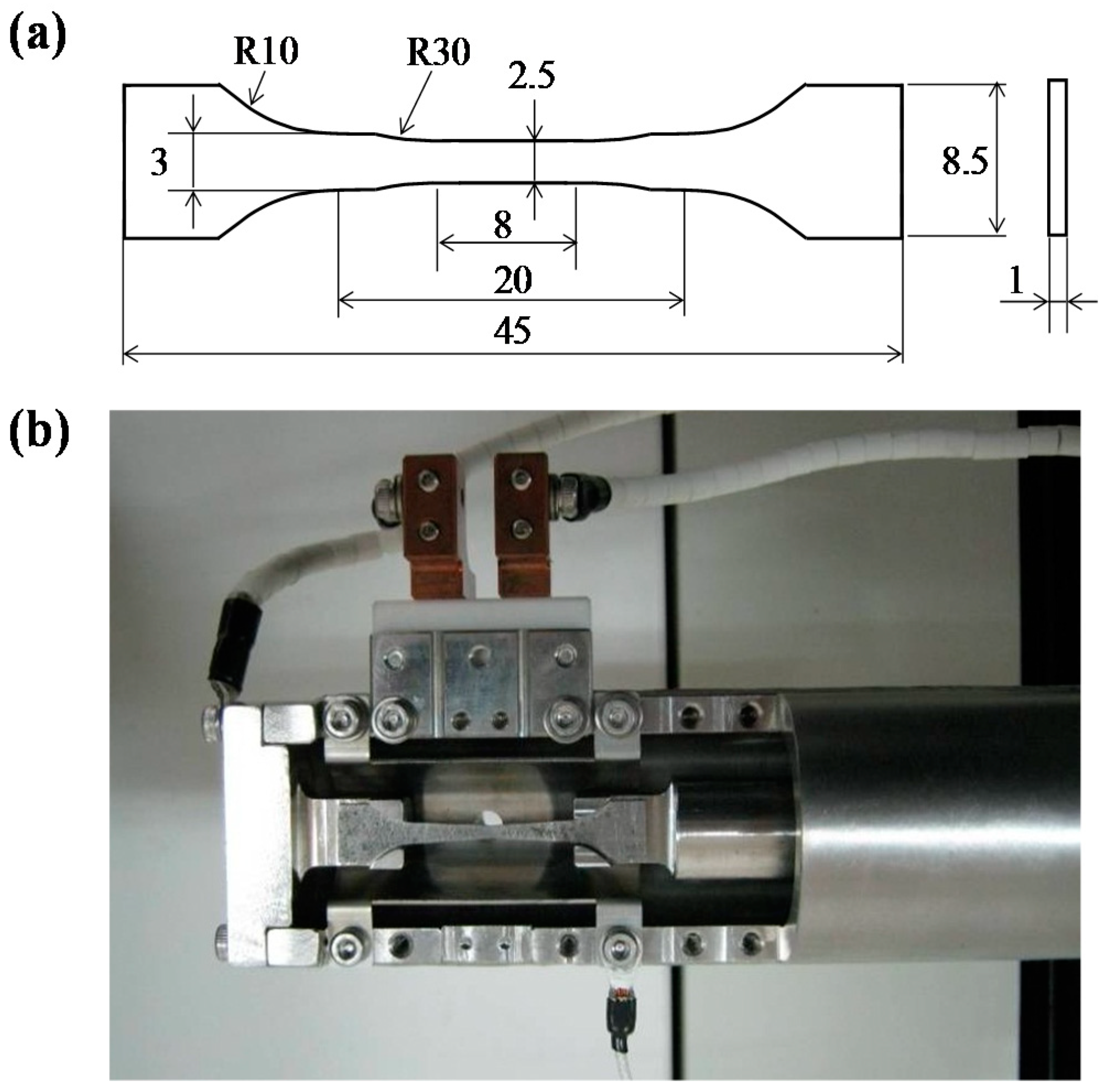 Metals 09 00258 g001
