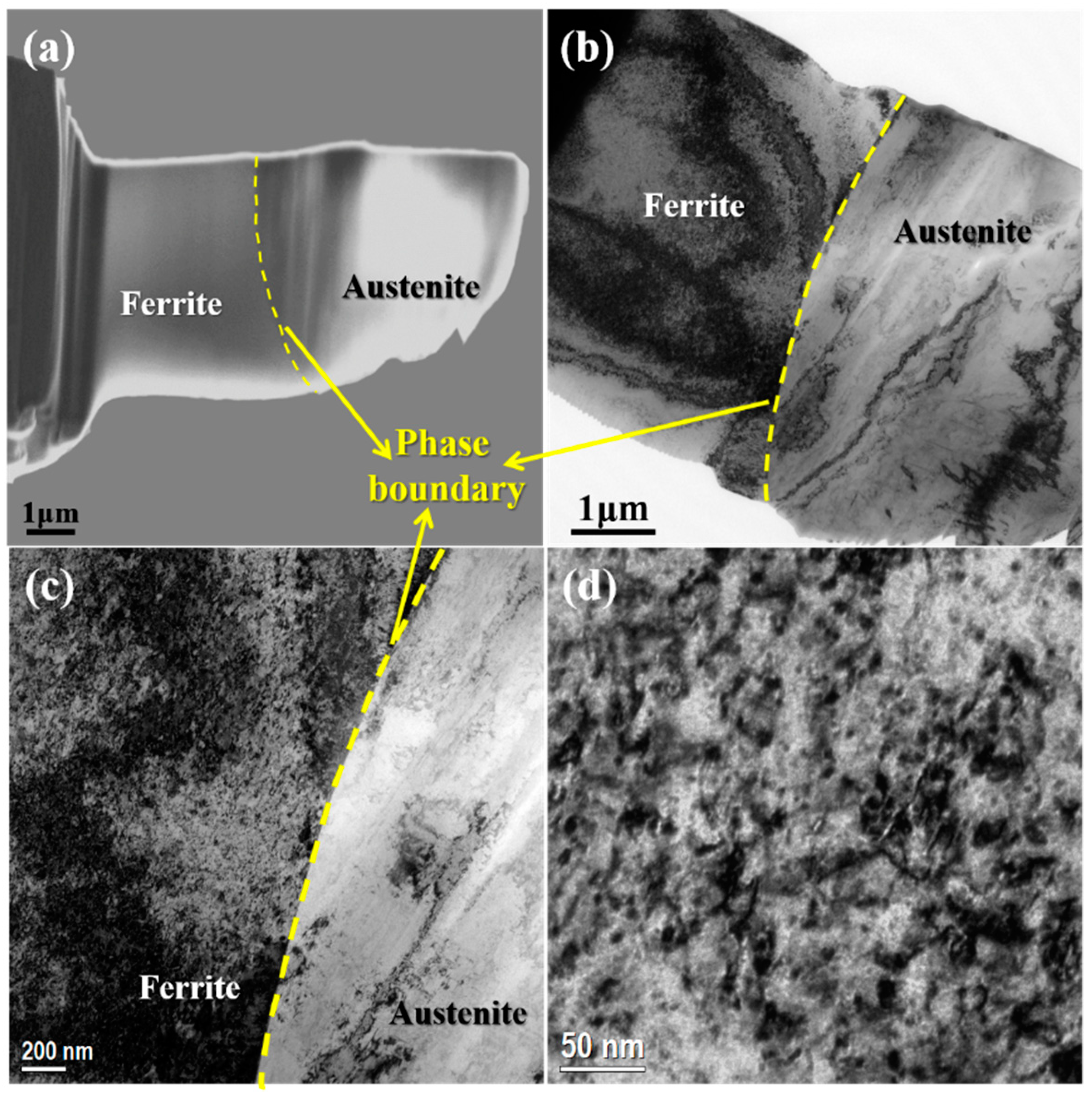 Metals 09 00258 g005