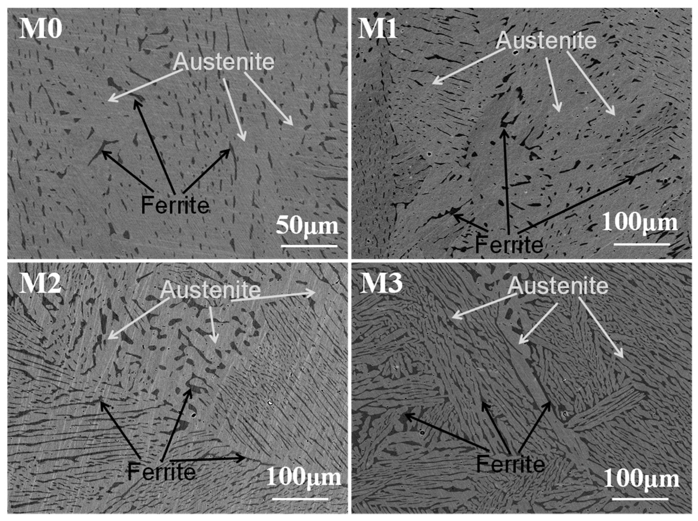 Metals 09 00295 g001