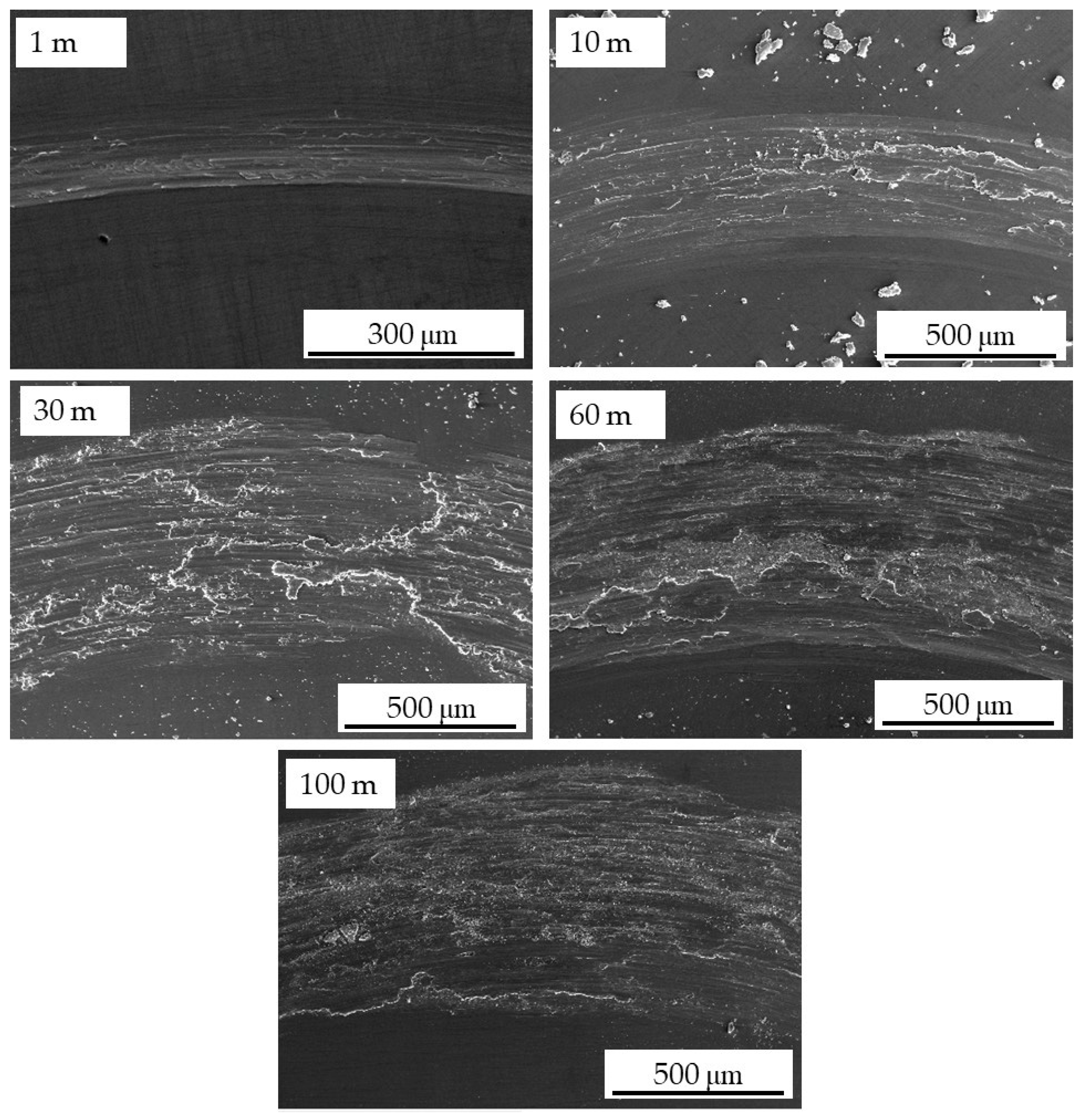 Metals 09 00308 g008