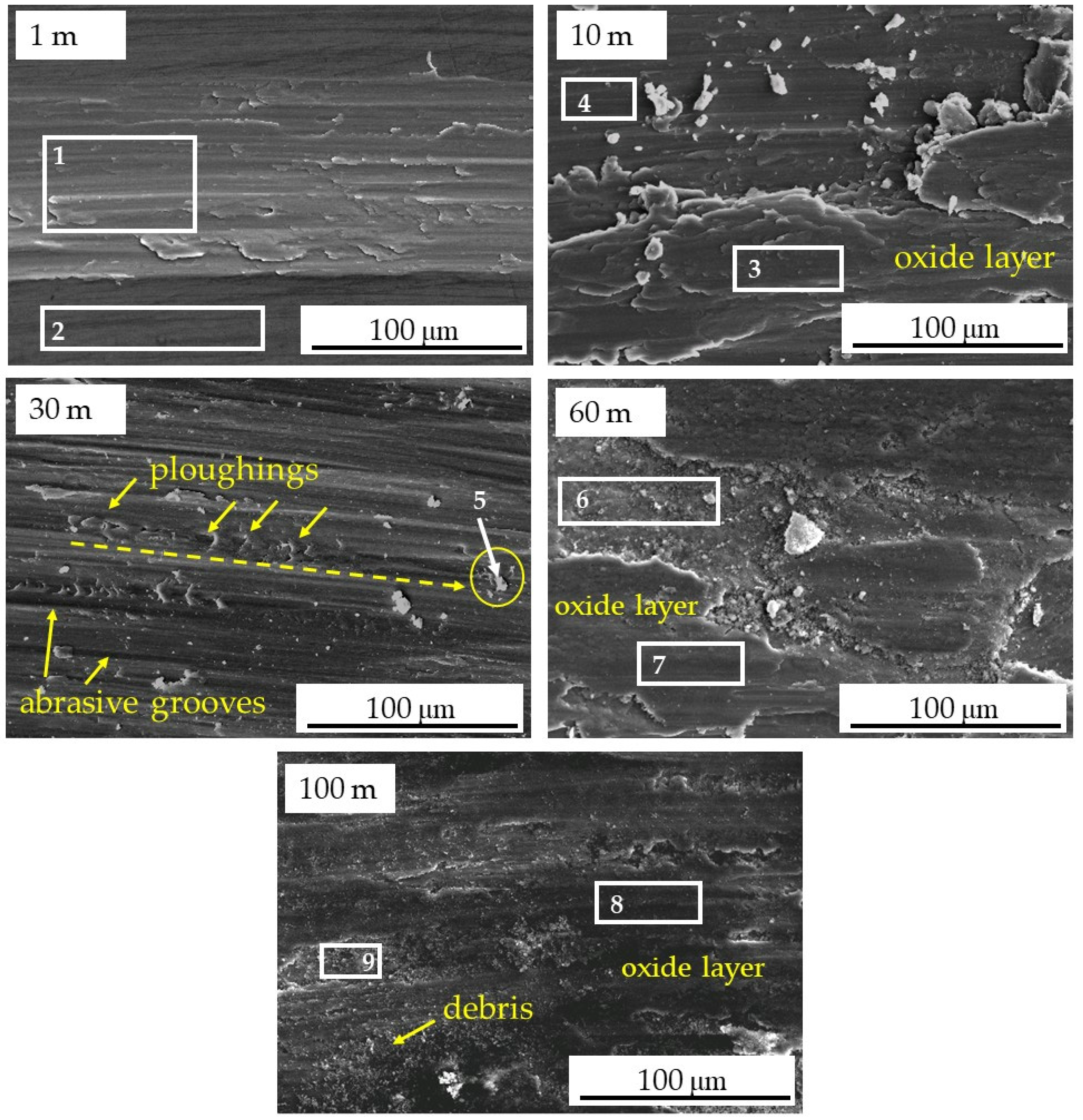Metals 09 00308 g009