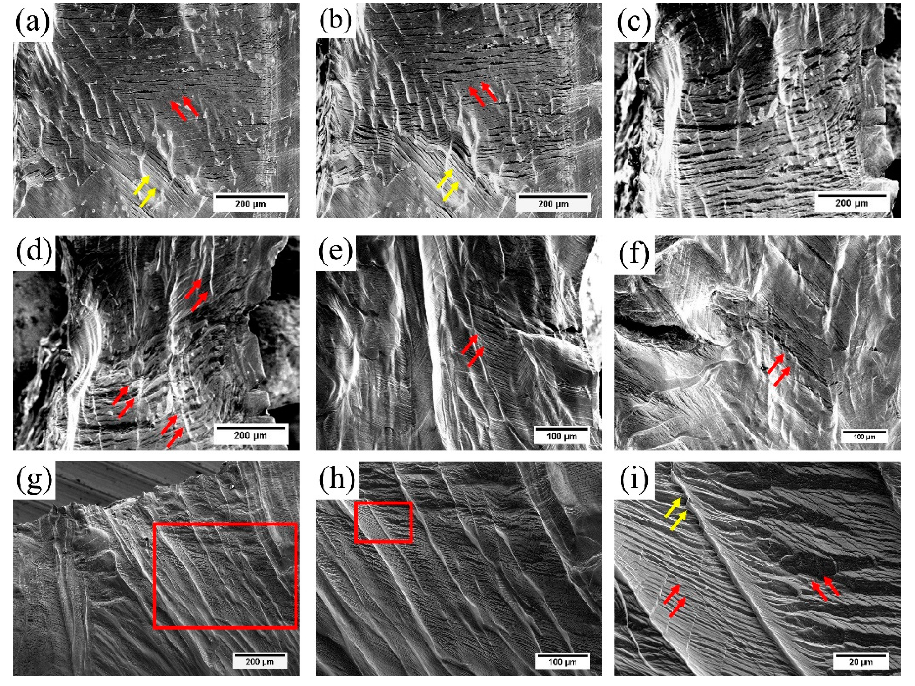 Metals 09 00317 g010