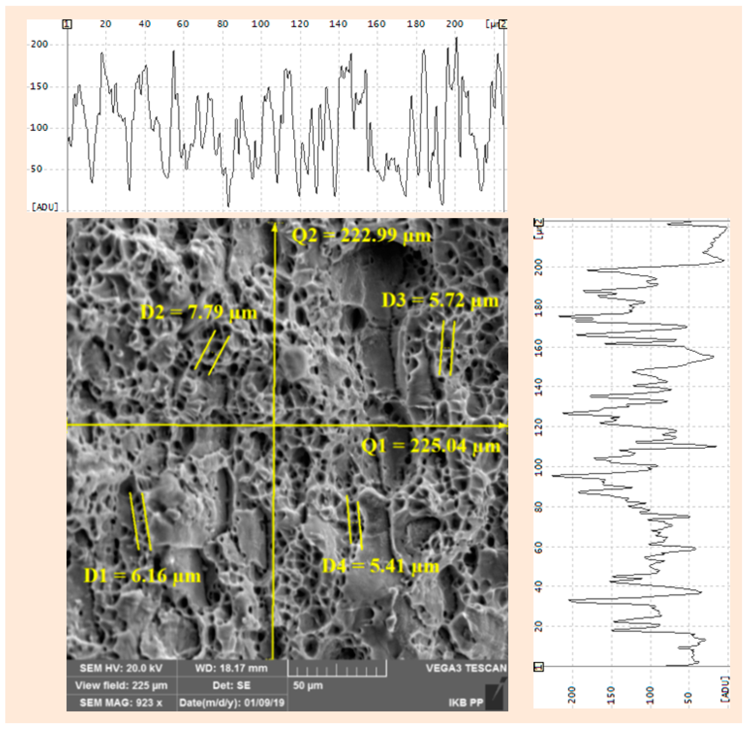 Metals 09 00324 g009